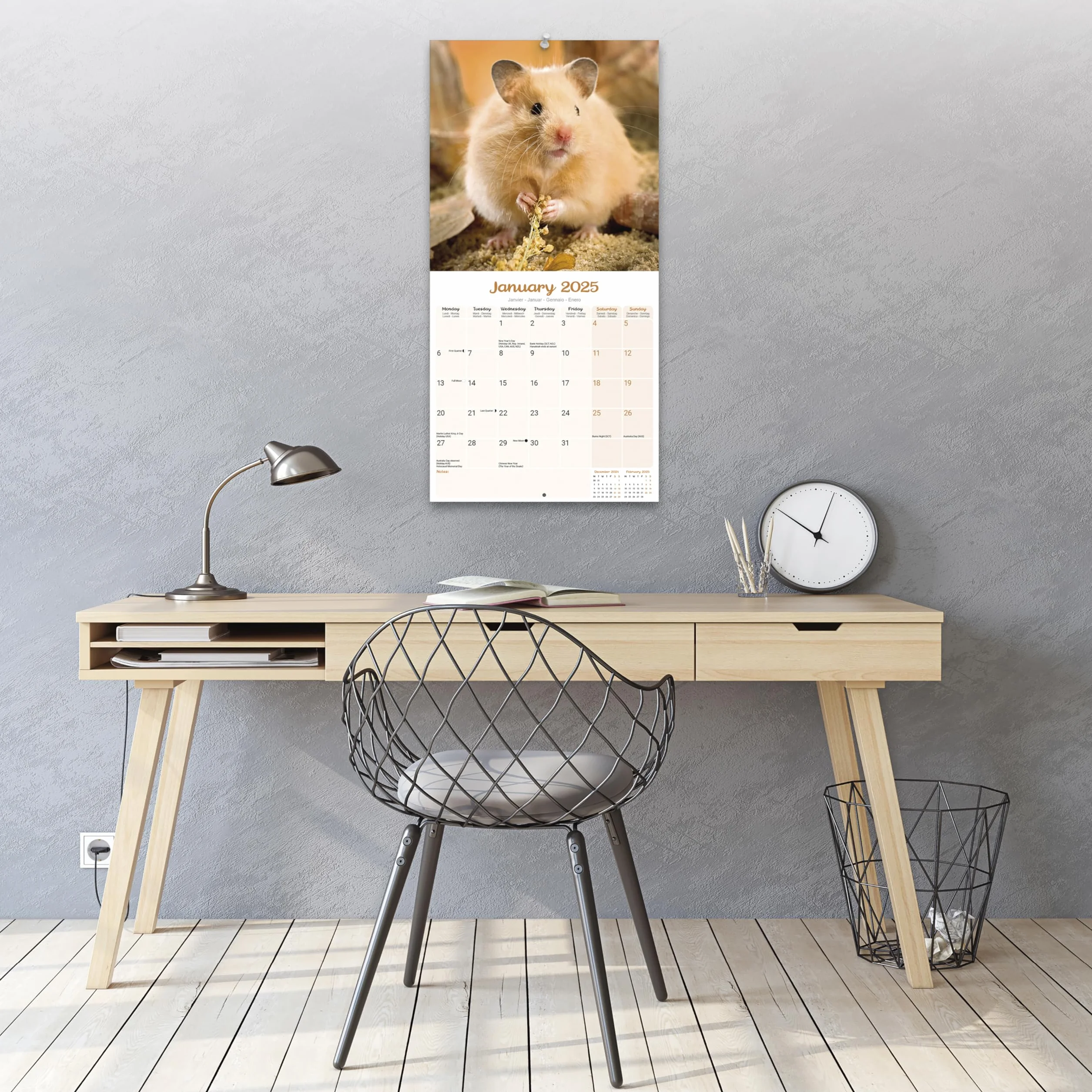 Hamsters Calendar 2025 Square Animal Wall Calendar - 16 Month: Original Avonside-Kalender [Mehrsprachig] [Kalender]