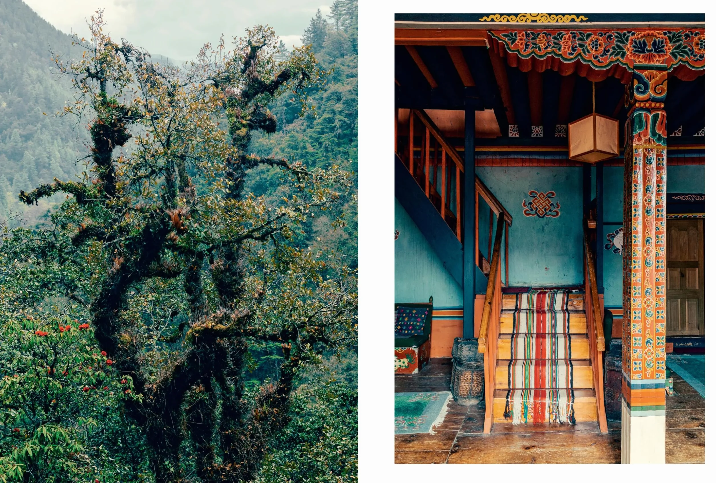 Kinfolk Wilderness /anglais: Kinfolk Adventures