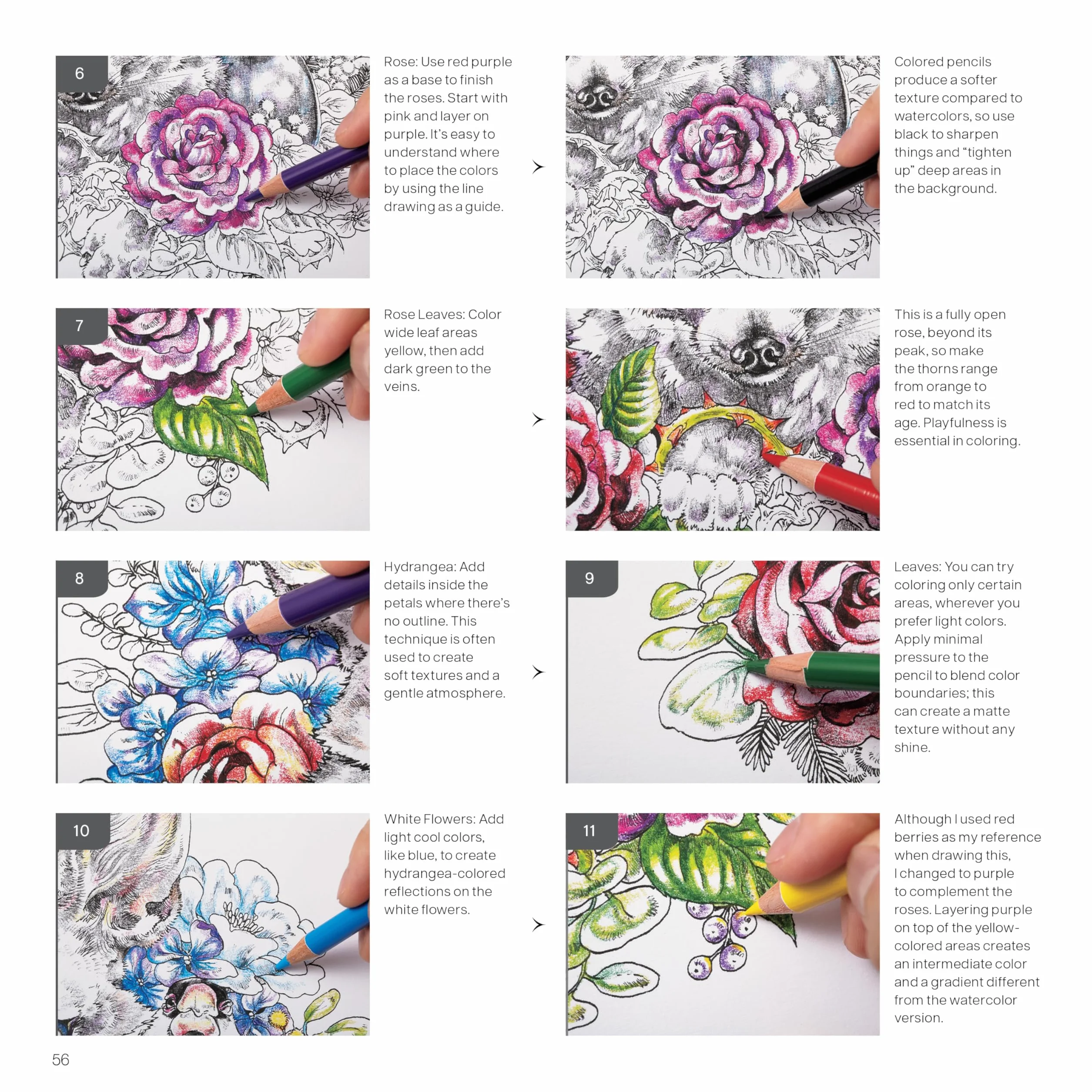 Ecotopia: Color a World of Wonder