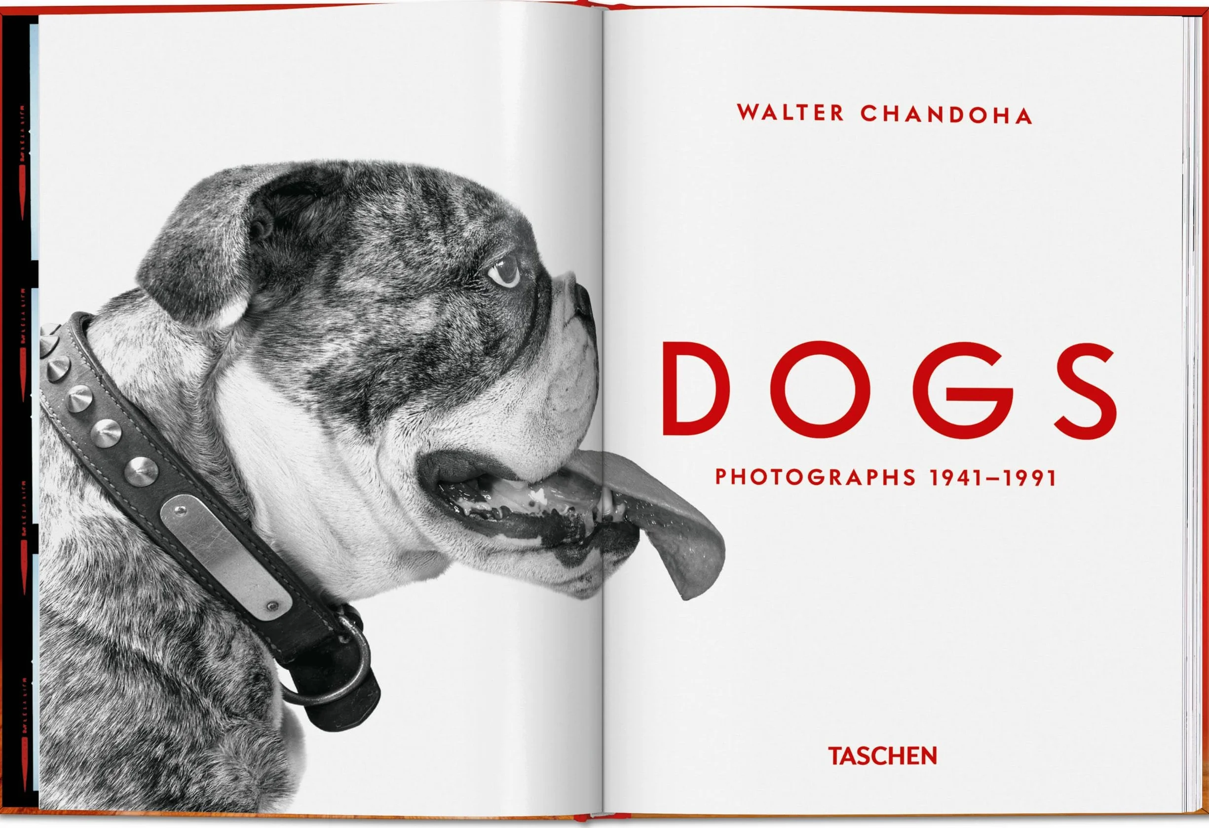 Walter Chandoha. Dogs. Photographs 1941-1991