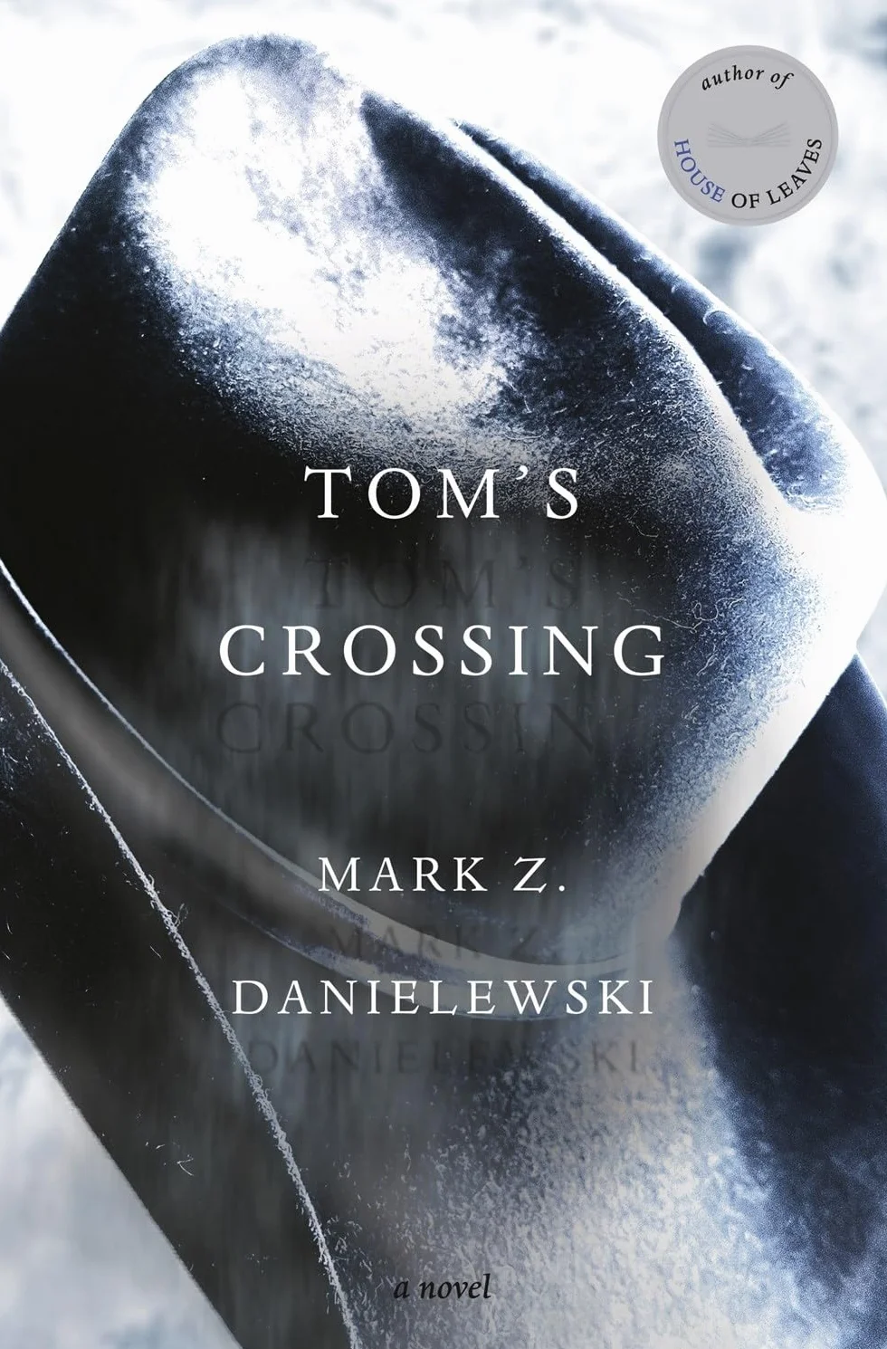 Tom's Crossing: A Novel