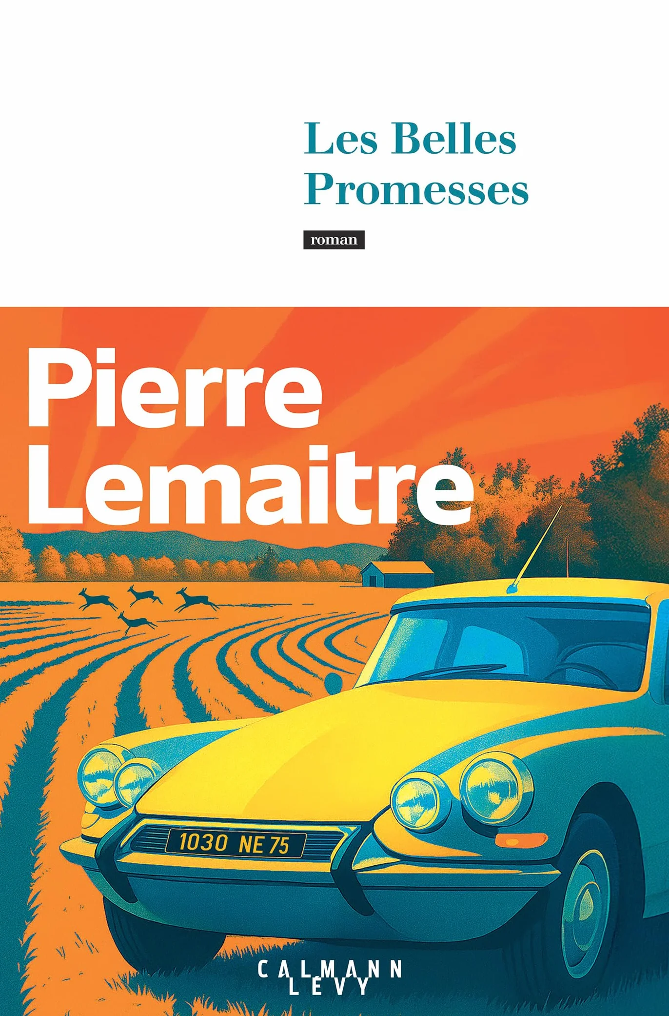 Les Belles Promesses: Roman