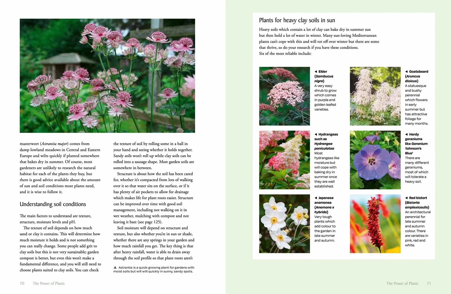 The National Trust Book of Nature-Friendly Gardening: An inspiring and practical guide to greener gardening
