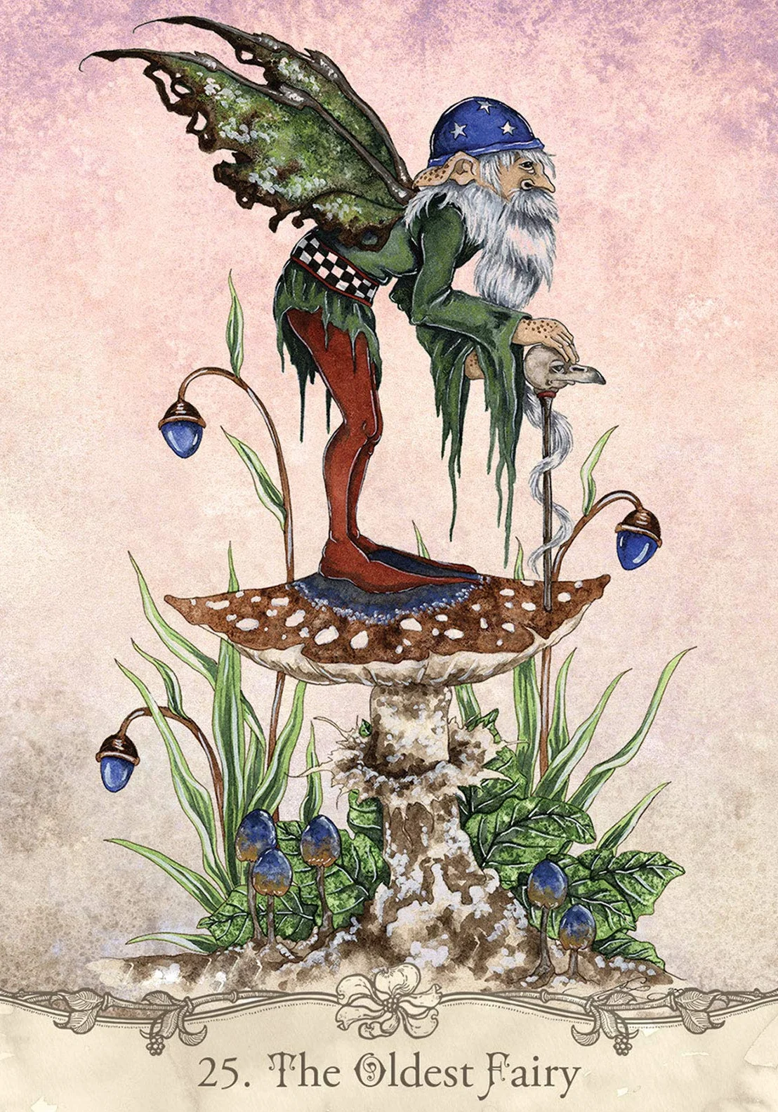 Fairy Wisdom Oracle Deck and Book Set