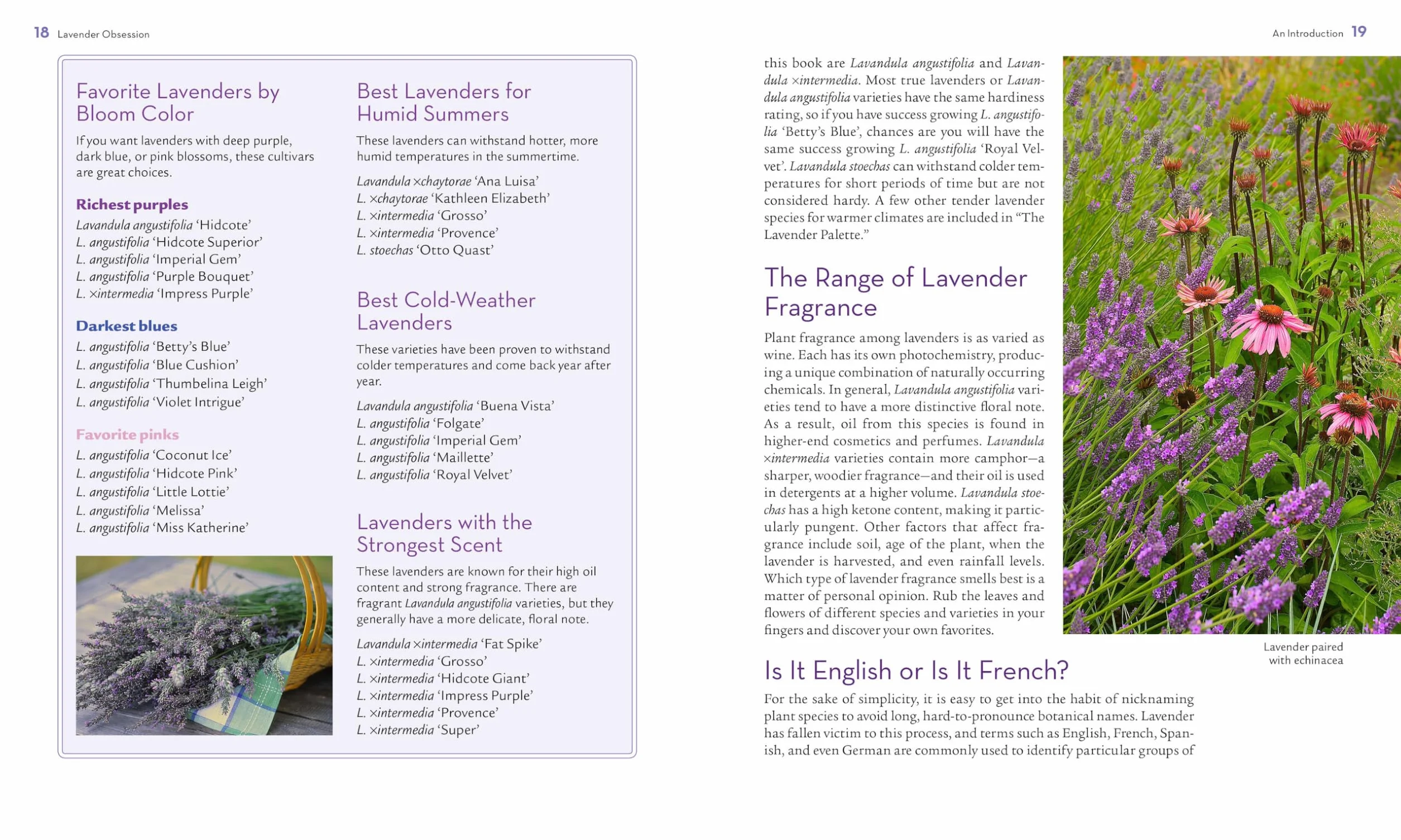 The Lavender Lover's Handbook: The 100 Most Beautiful and Fragrant Varieties for Growing, Crafting, and Cooking
