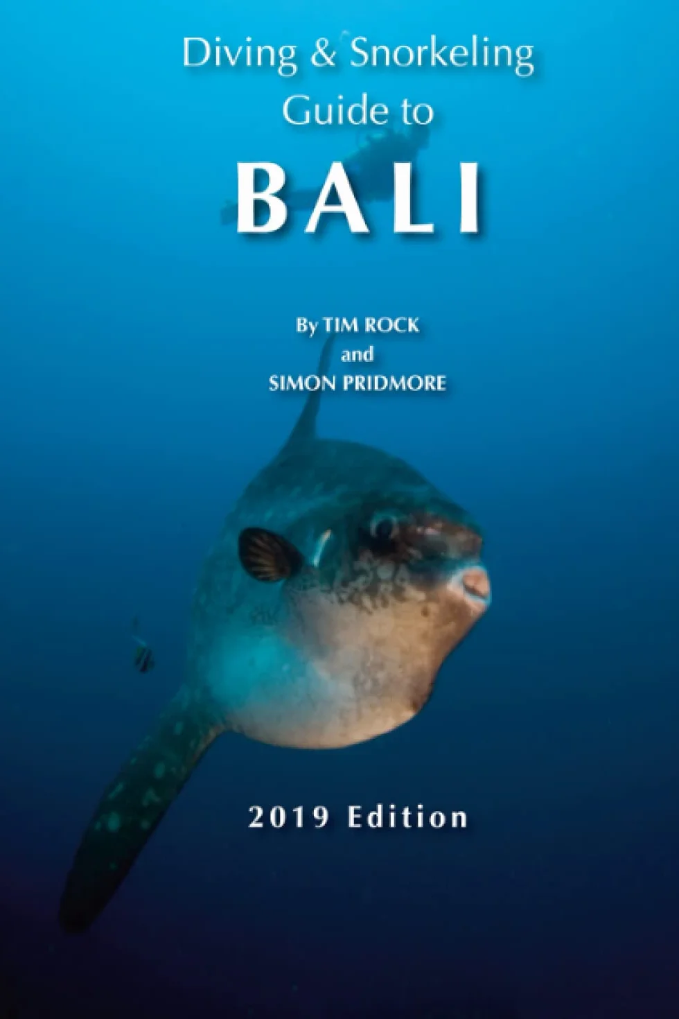 Diving & Snorkeling Guide to Bali