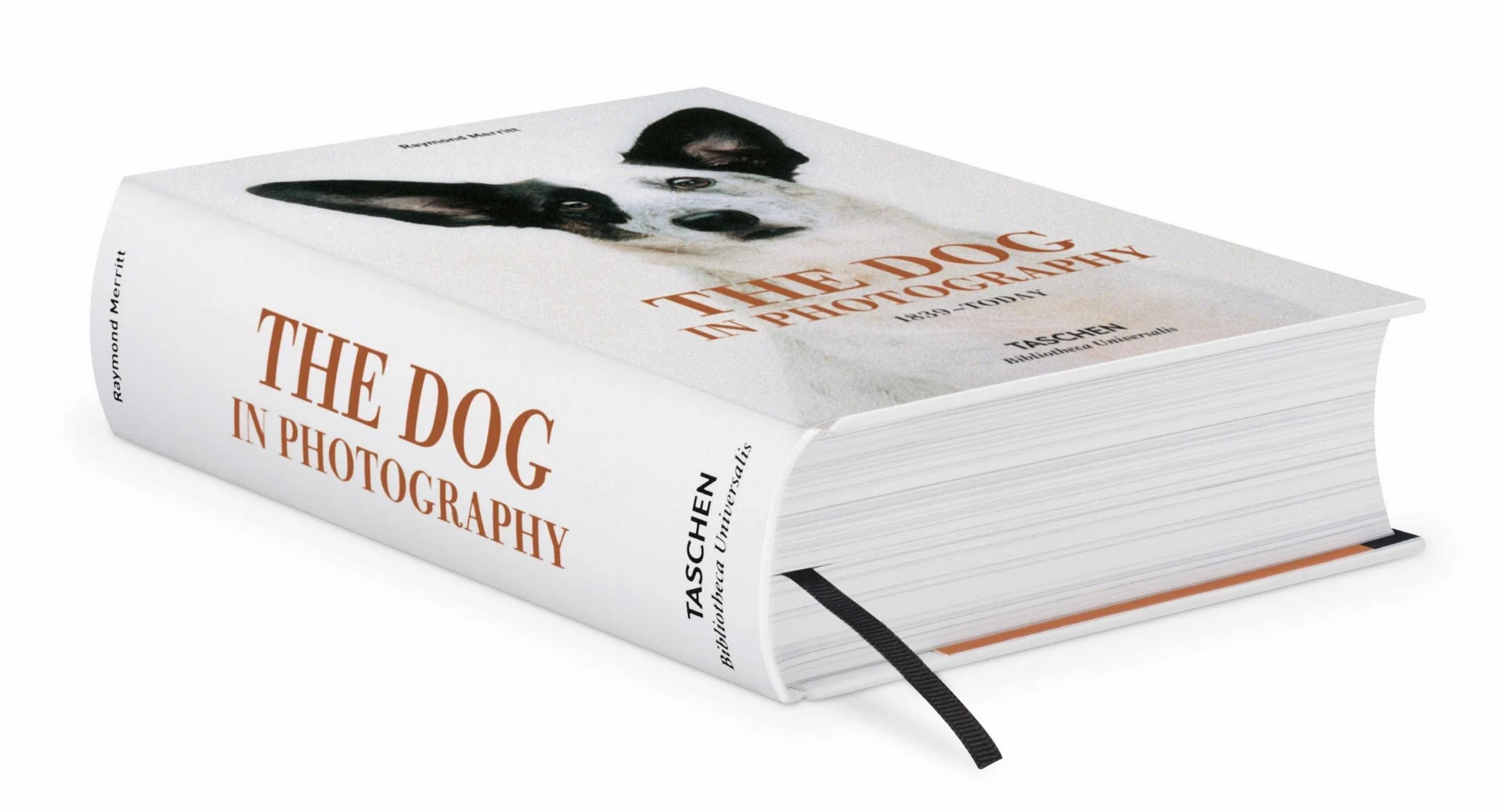 The Dog in Photography: 1839-Today
