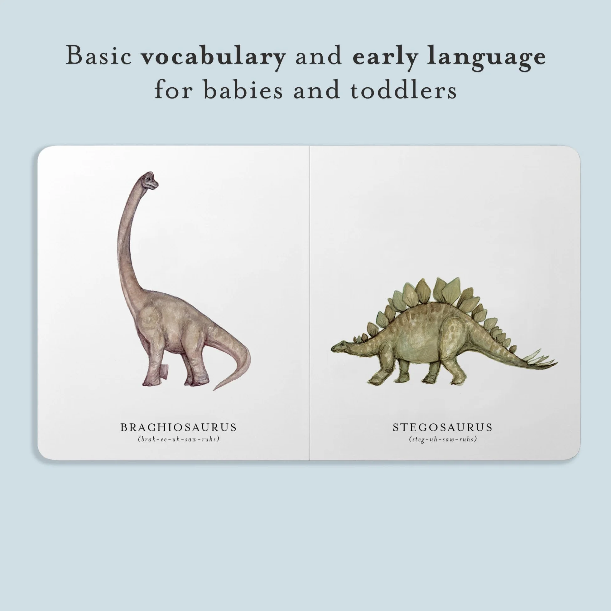 Our Little Library Vol. 3: Dinosaurs, Space, Tools, Bugs, and Sports Board Book Set for Boys & Girls: 11