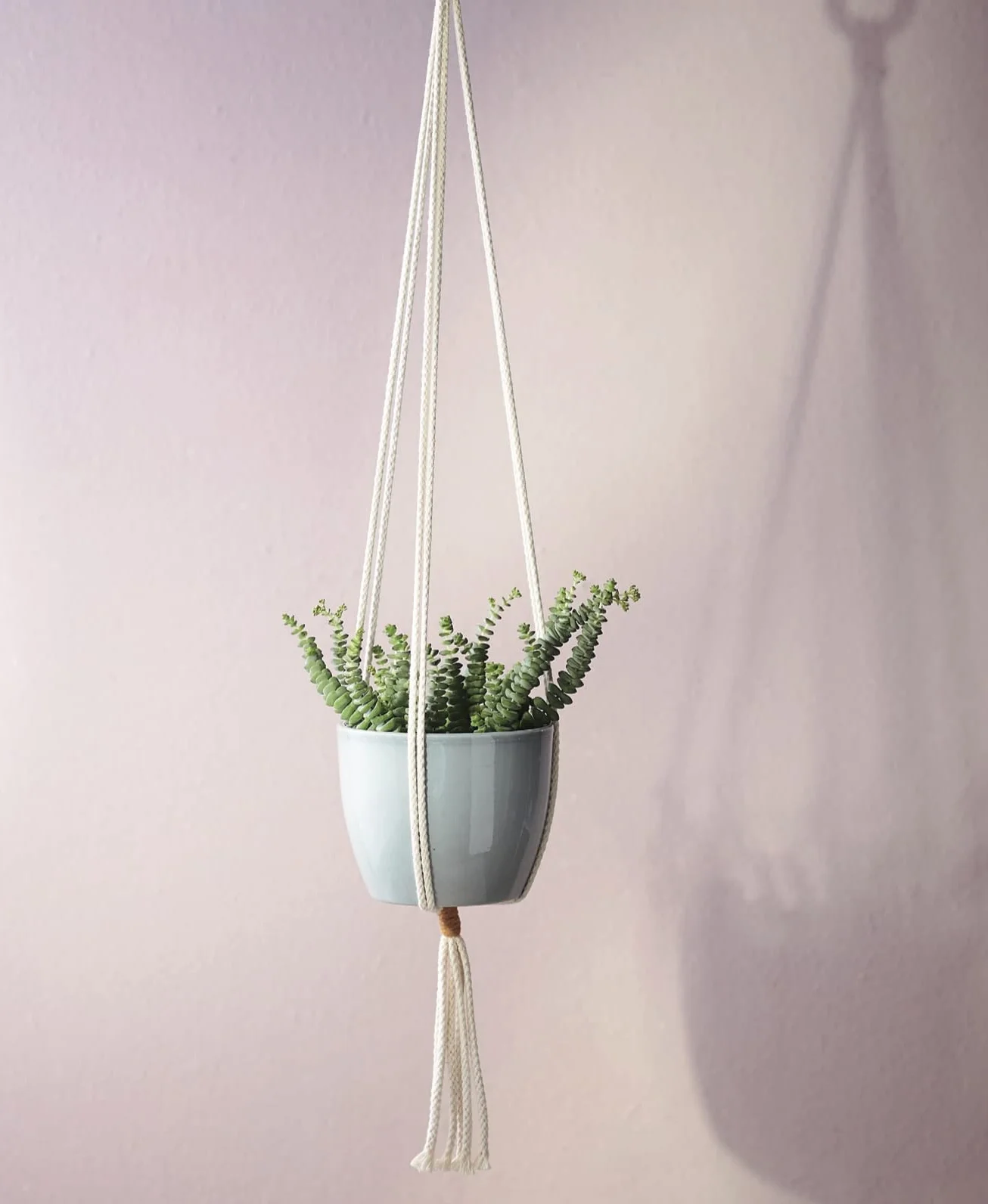 Makramee Blumenampeln kreativ.kompakt Einfache Knüpfprojekte