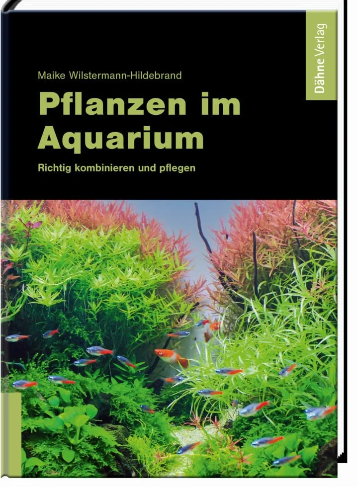 Pflanzen im Aquarium: Richtig kombinieren und pflegen