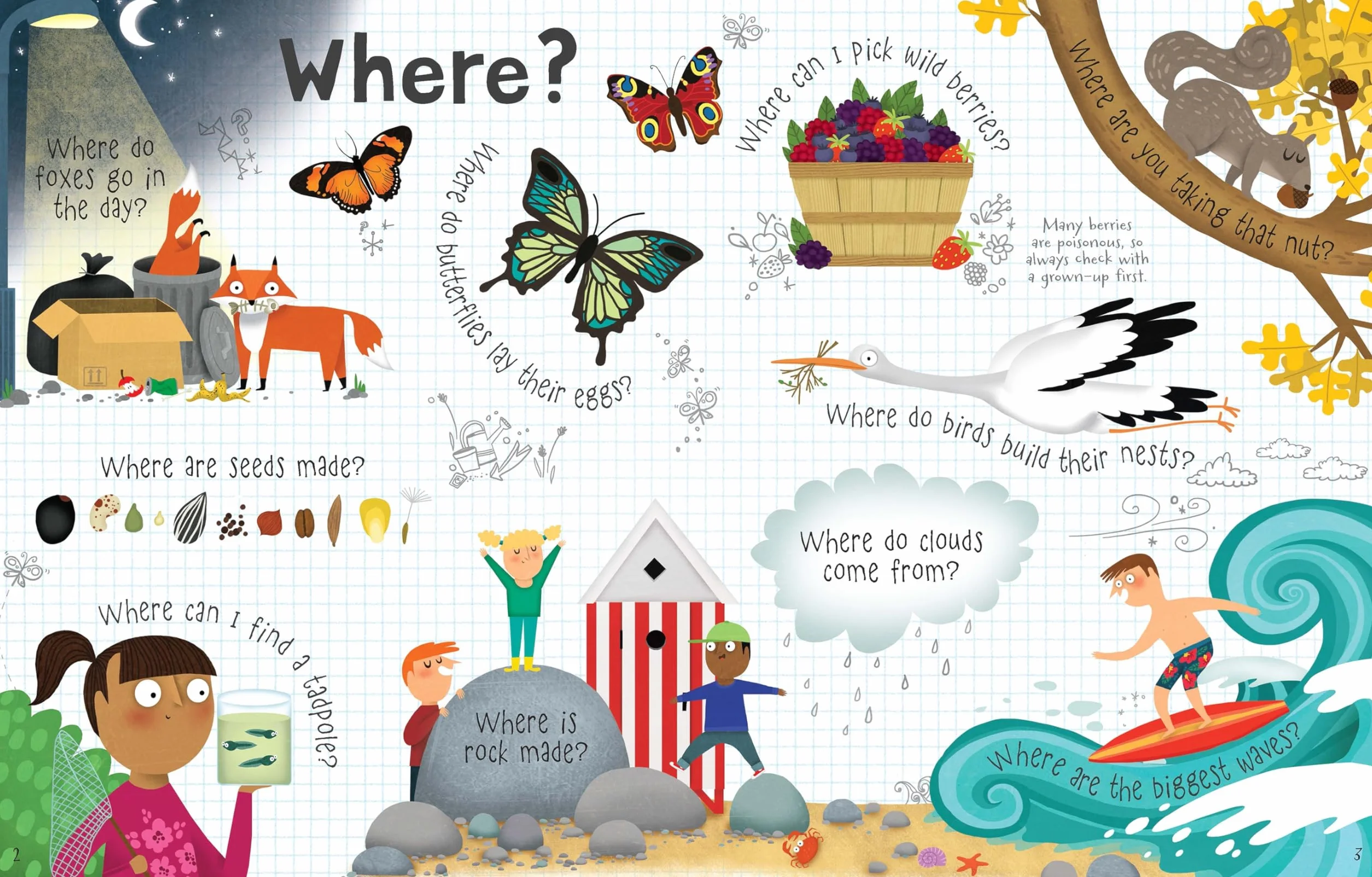 Lift the Flap Questions and Answers About Nature (Lift-the-Flap First Questions and Answers): 1 (Questions & Answers)