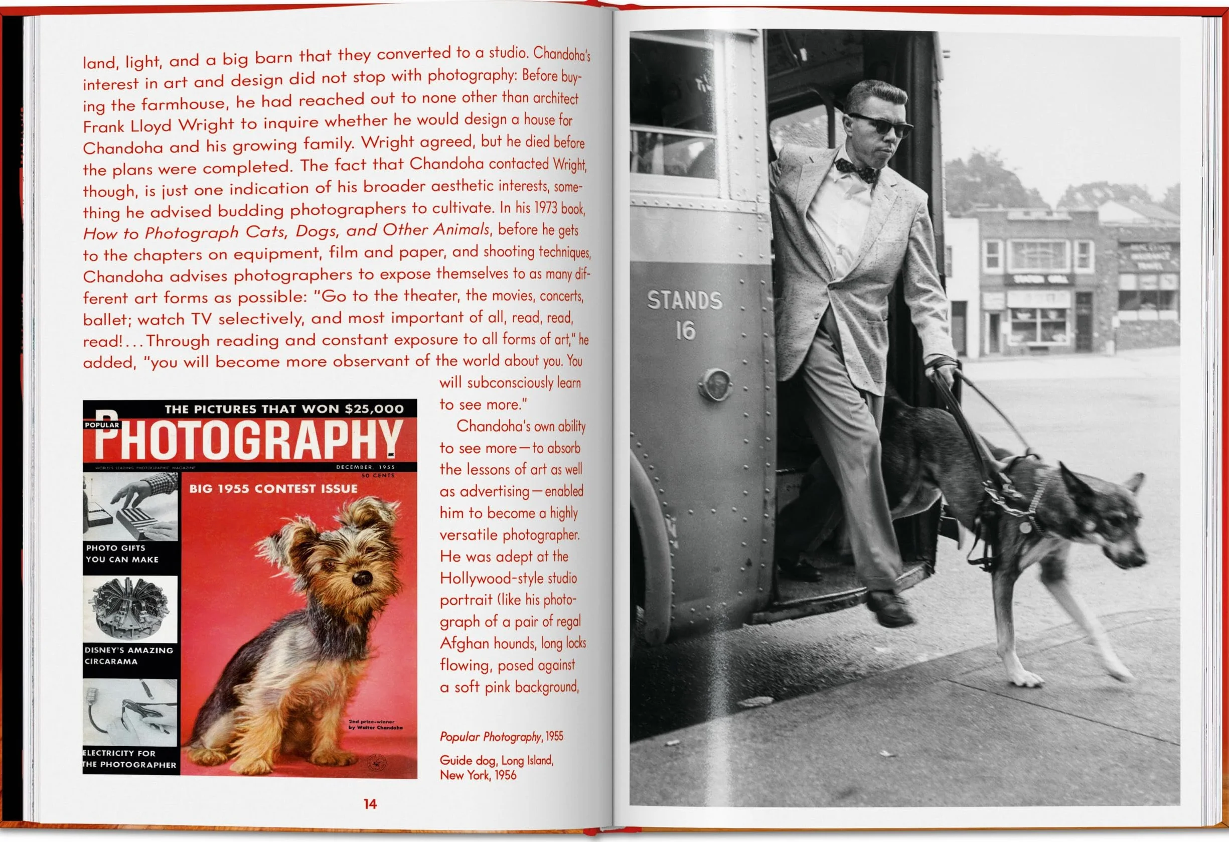 Walter Chandoha. Dogs. Photographs 1941-1991