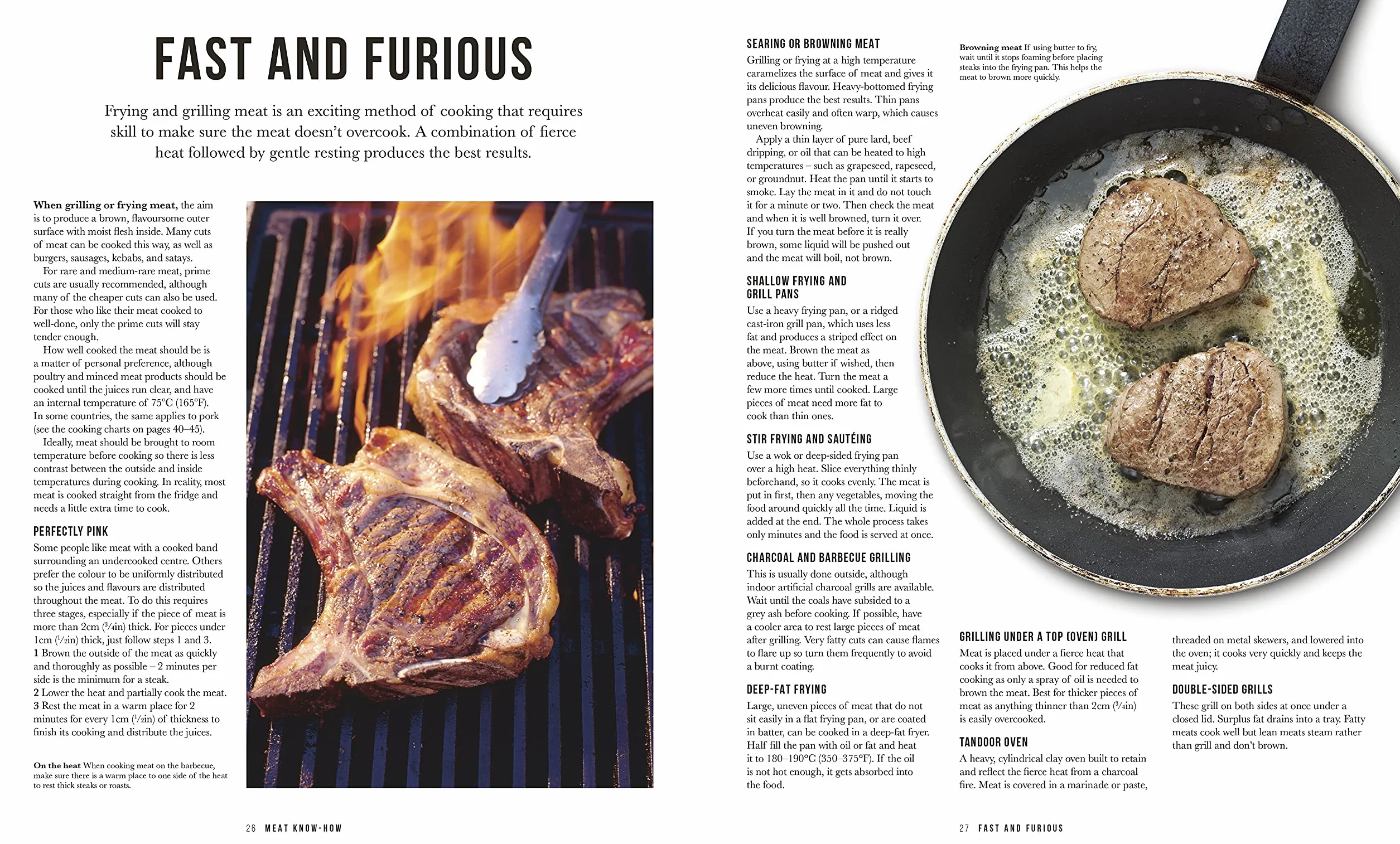 The Meat Cookbook: Know the Cuts, Master the Skills, over 250 Recipes