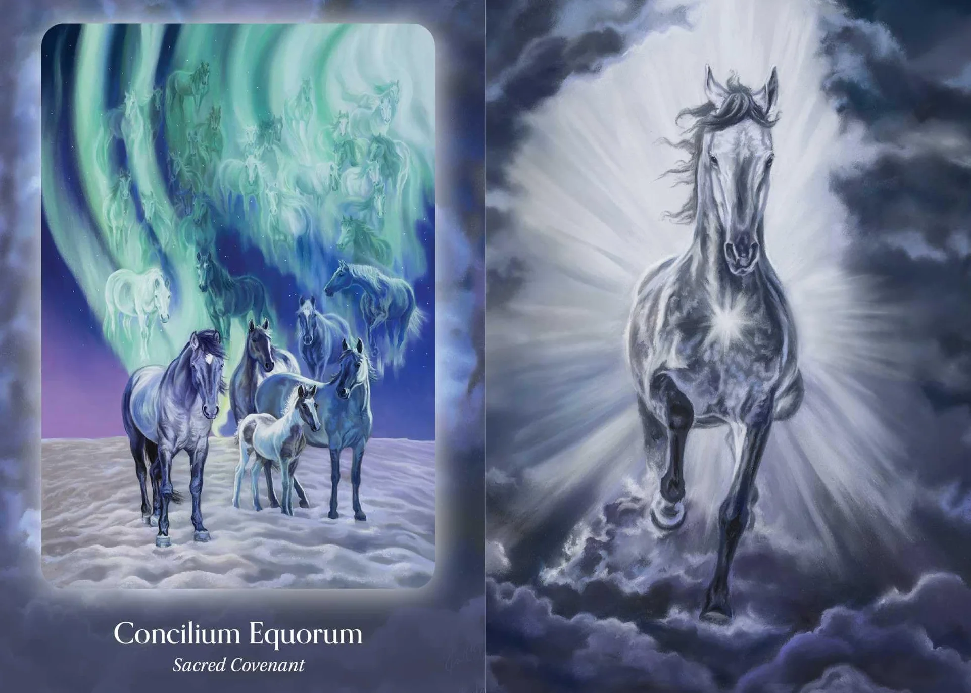 The Council of Horses Oracle: A 40-Card Deck and Guidebook
