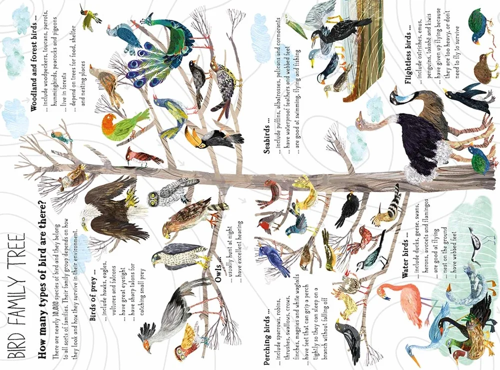 The Big Book of Birds: 0