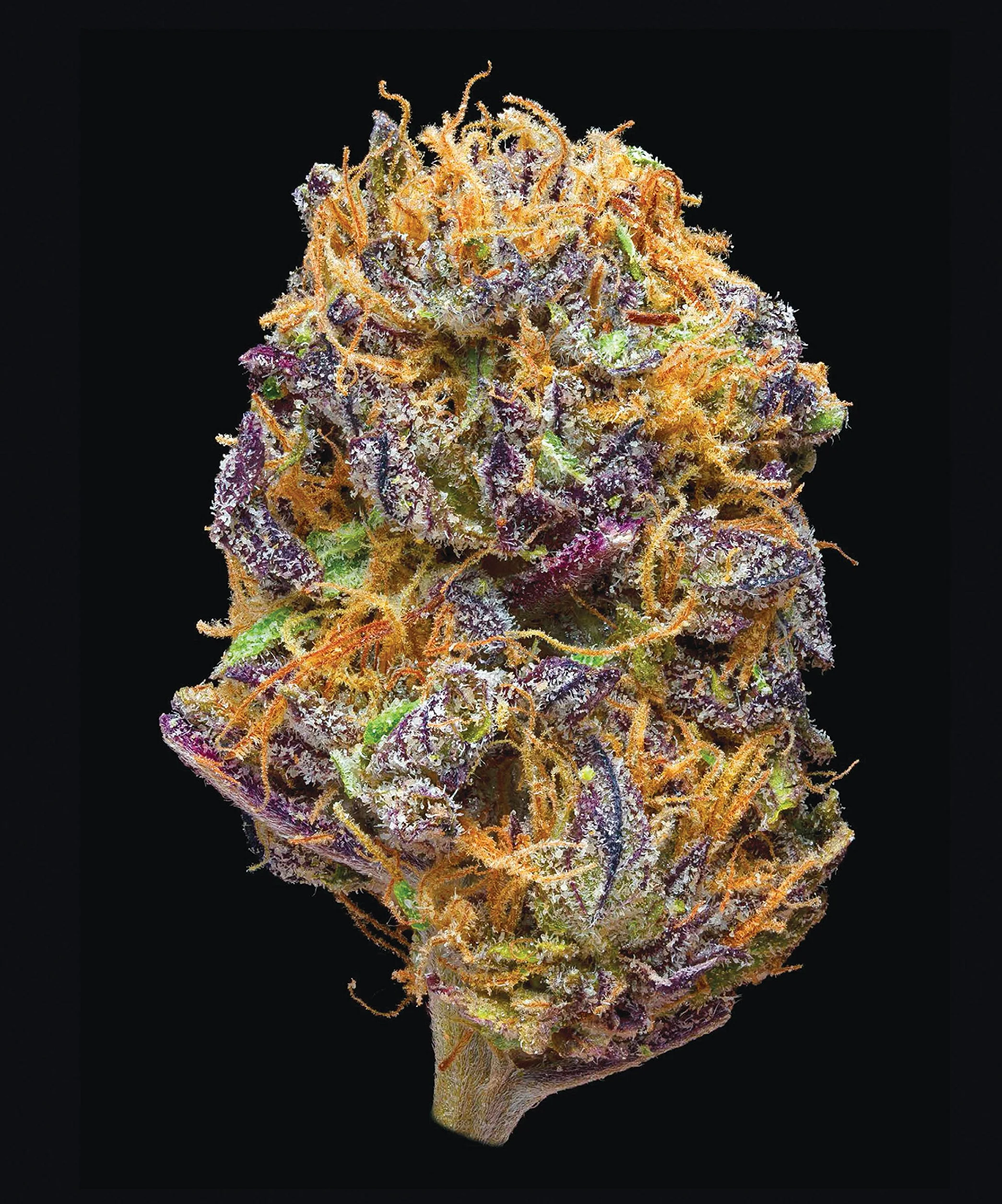 Green: A Field Guide to Marijuana: (Books about Marijuana, Guide to Cannabis, Weed Bible)