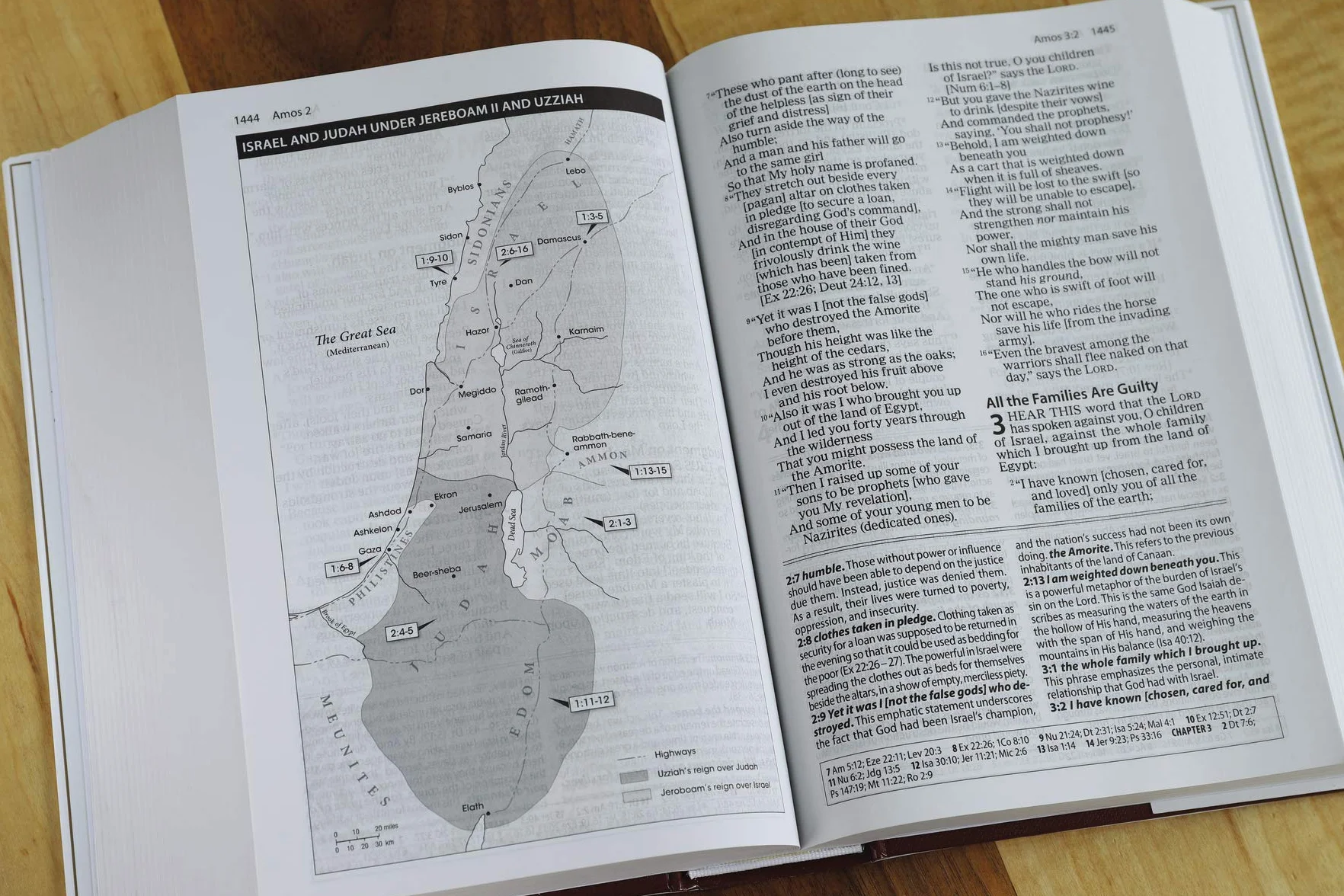 Amplified Study Bible, Hardcover