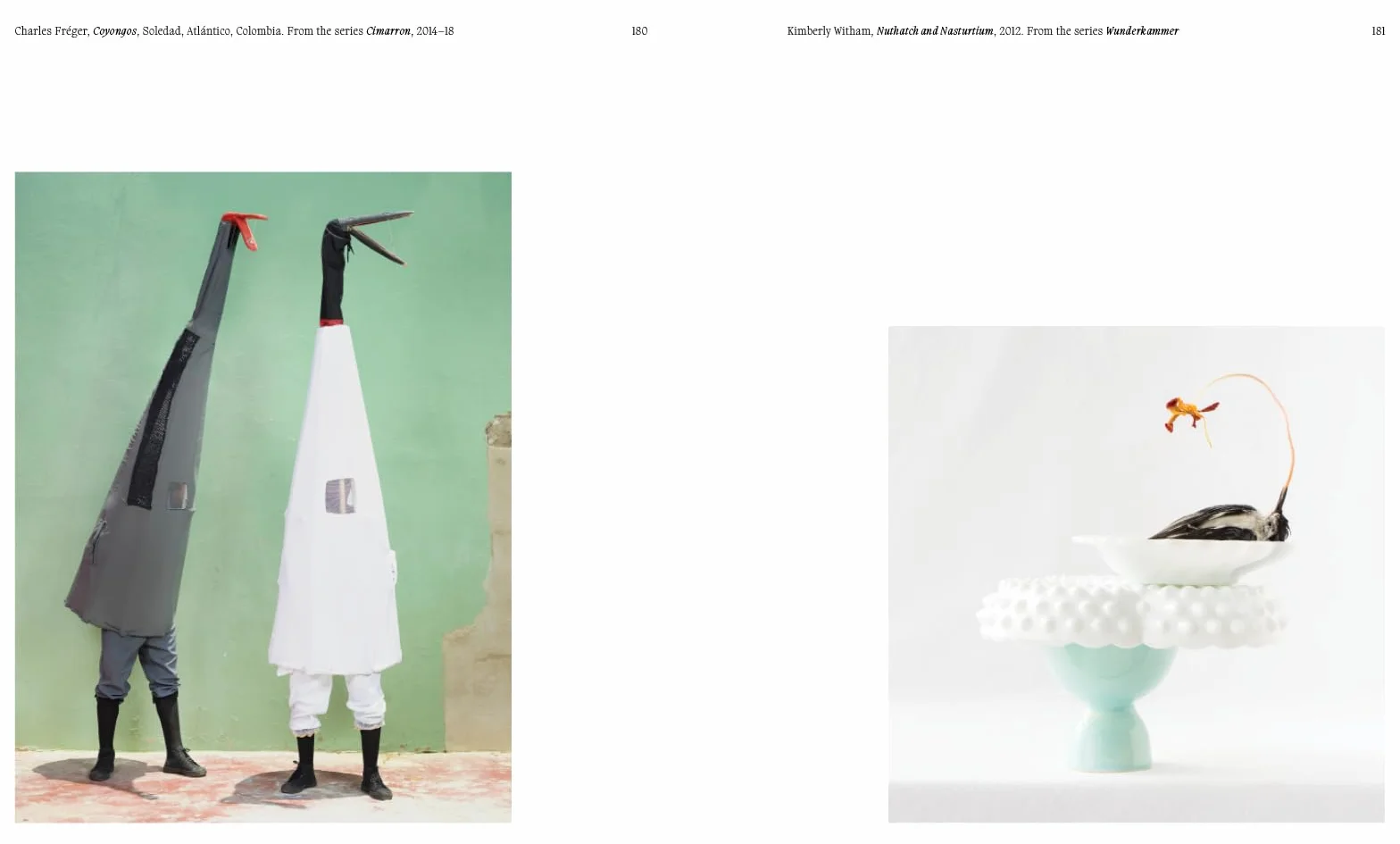 Aviary The Bird in Contemporary Photography /anglais