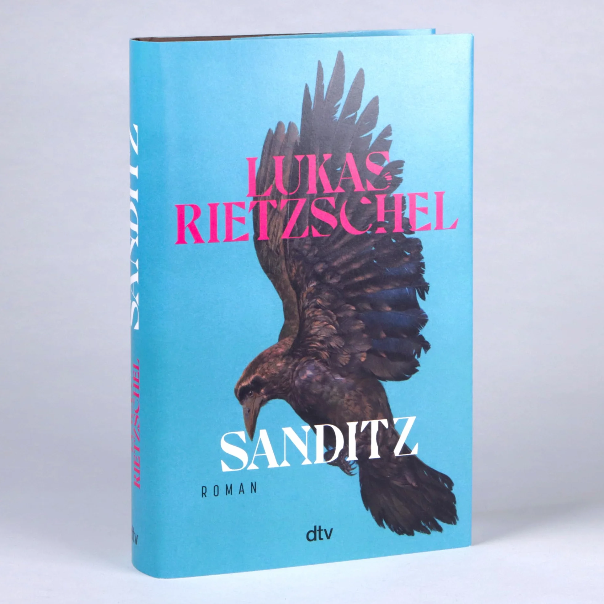 Sanditz: Roman | Das große Epos der Nachwendezeit: 'Rietzschel ist eine der wichtigsten jungen Stimmen Ostdeutschlands.' Frankfurter Allgemeine Zeitung