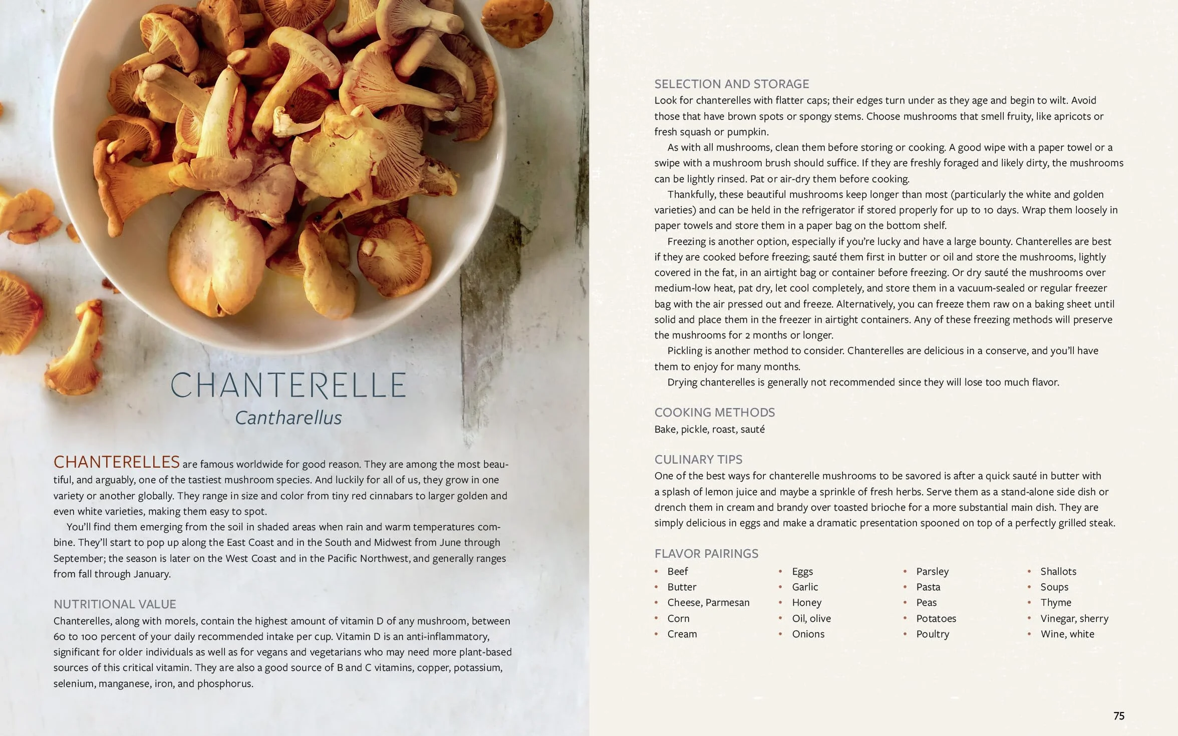 Mushroom Gastronomy: The Art of Cooking with Mushrooms