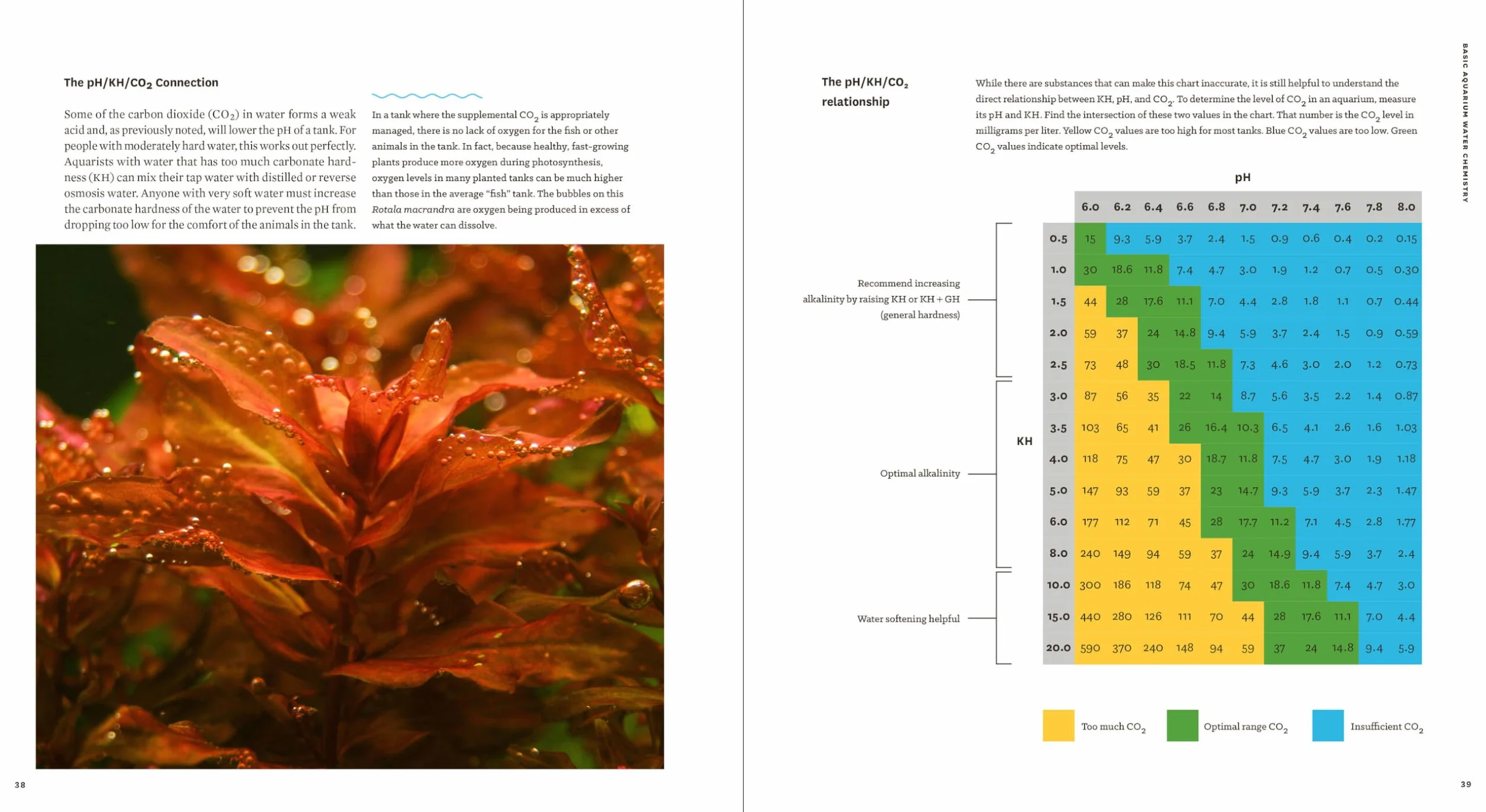 Sunken Gardens: A Step-By-Step Guide to Planting Freshwater Aquariums