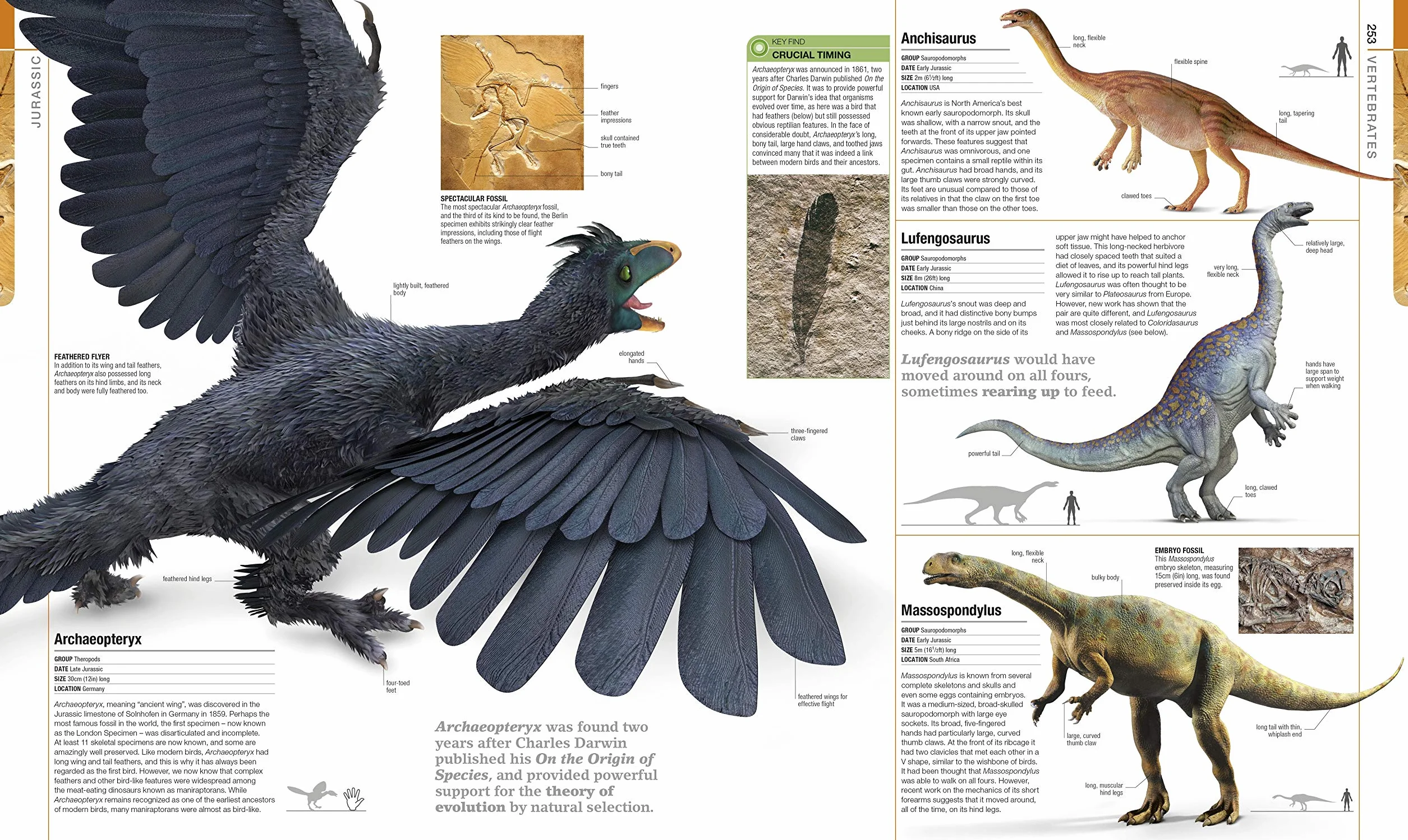 Dinosaurs and Prehistoric Life: Definitive Visual Guide