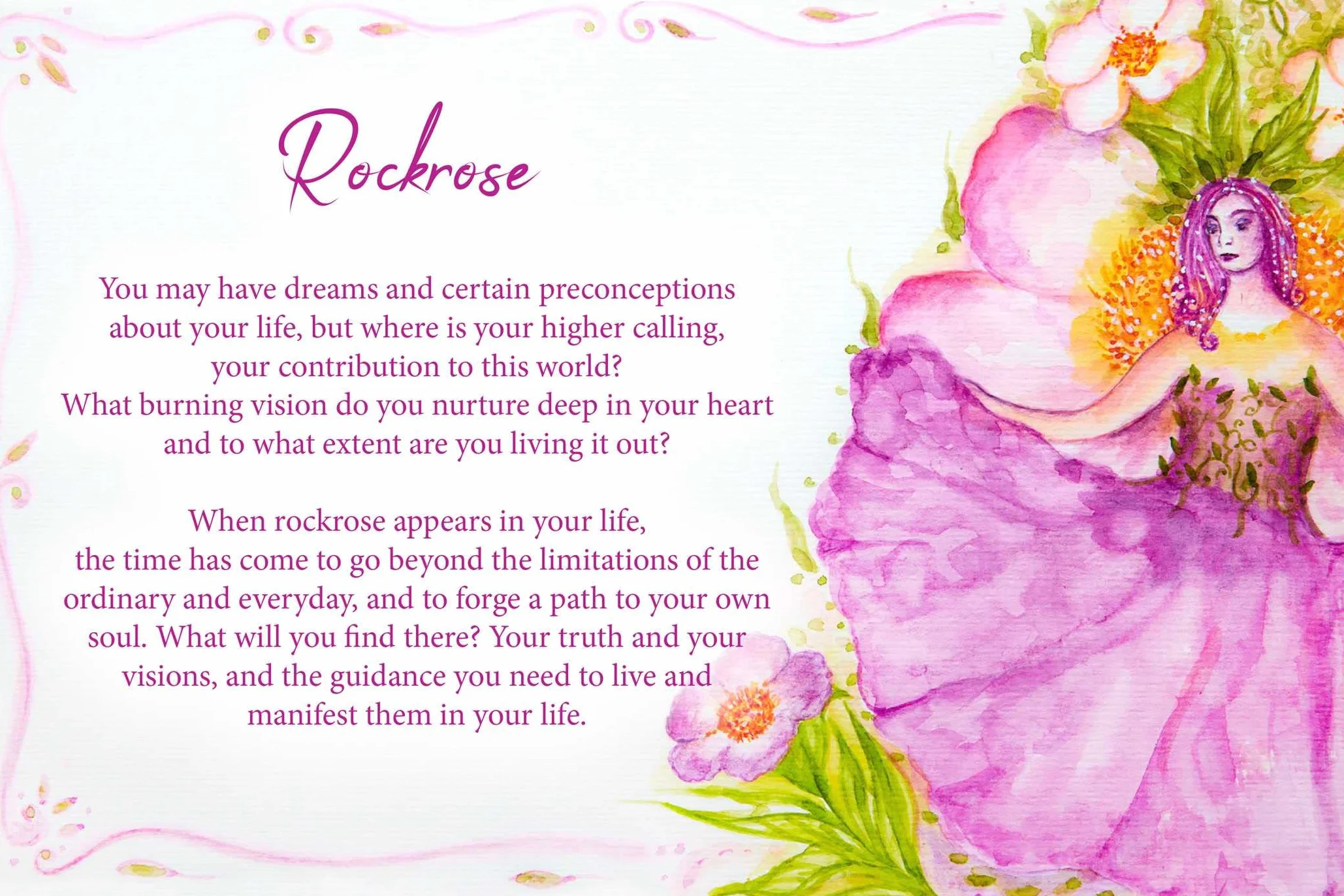 Essential Oils Oracle Cards: Wisdom from 40 Healing Plants