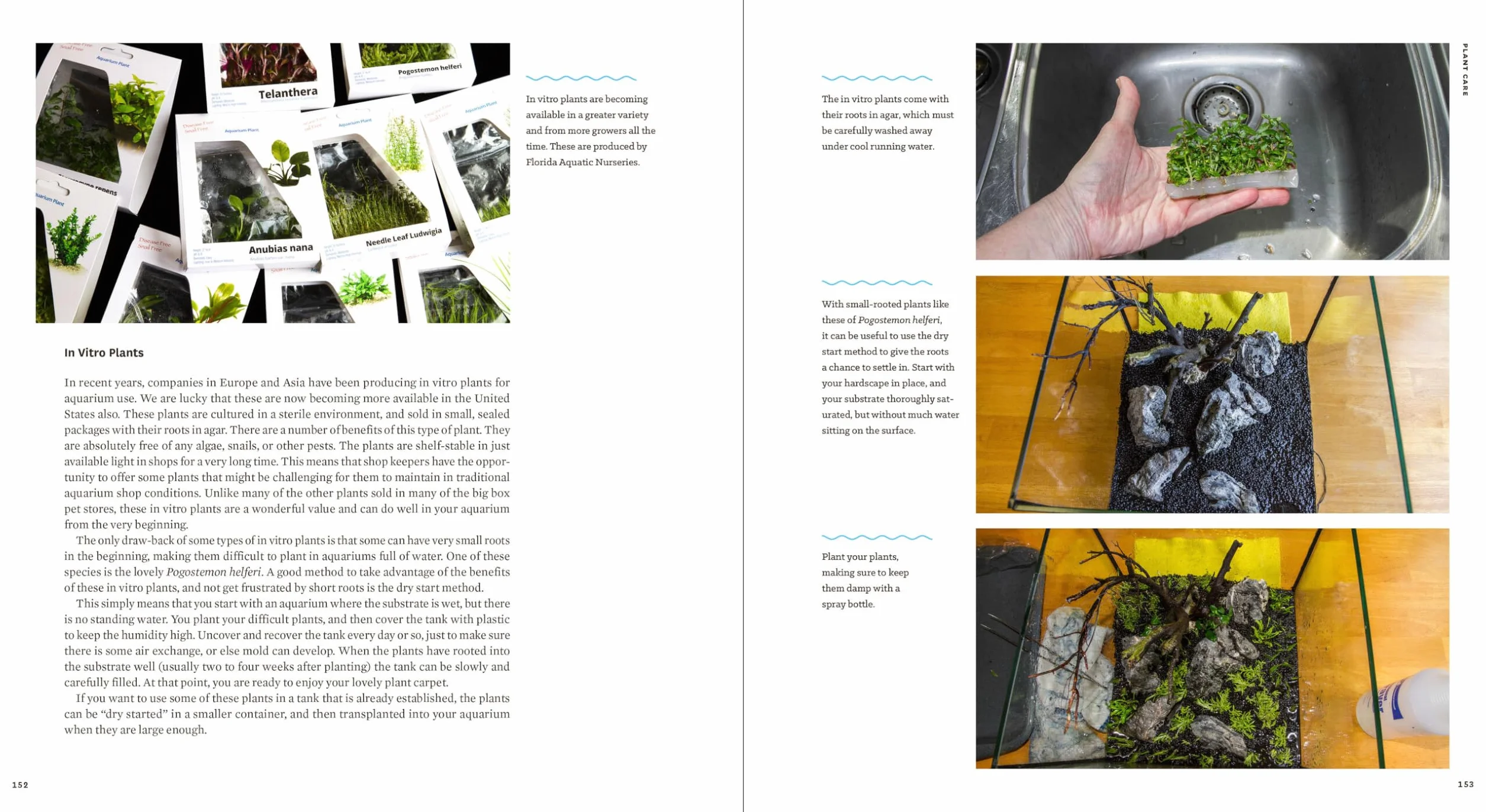Sunken Gardens: A Step-By-Step Guide to Planting Freshwater Aquariums