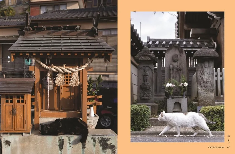 Neko : Cats of Japan /anglais