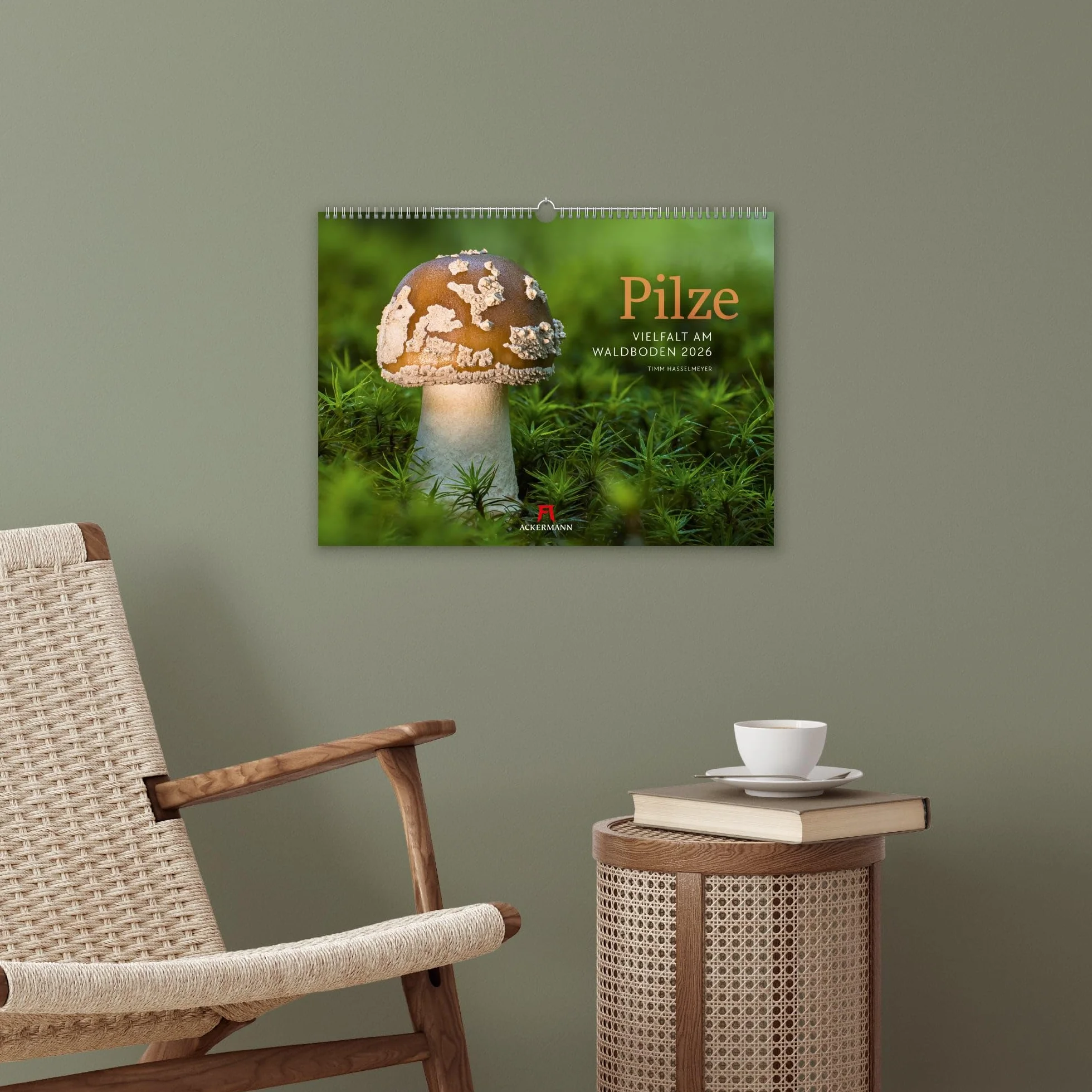 Pilze Kalender 2026 | Vielfalt am Waldboden: Informativer Natur-Kalender im Querformat (45x33 cm) | Mit ausführlichen Bildunterschriften