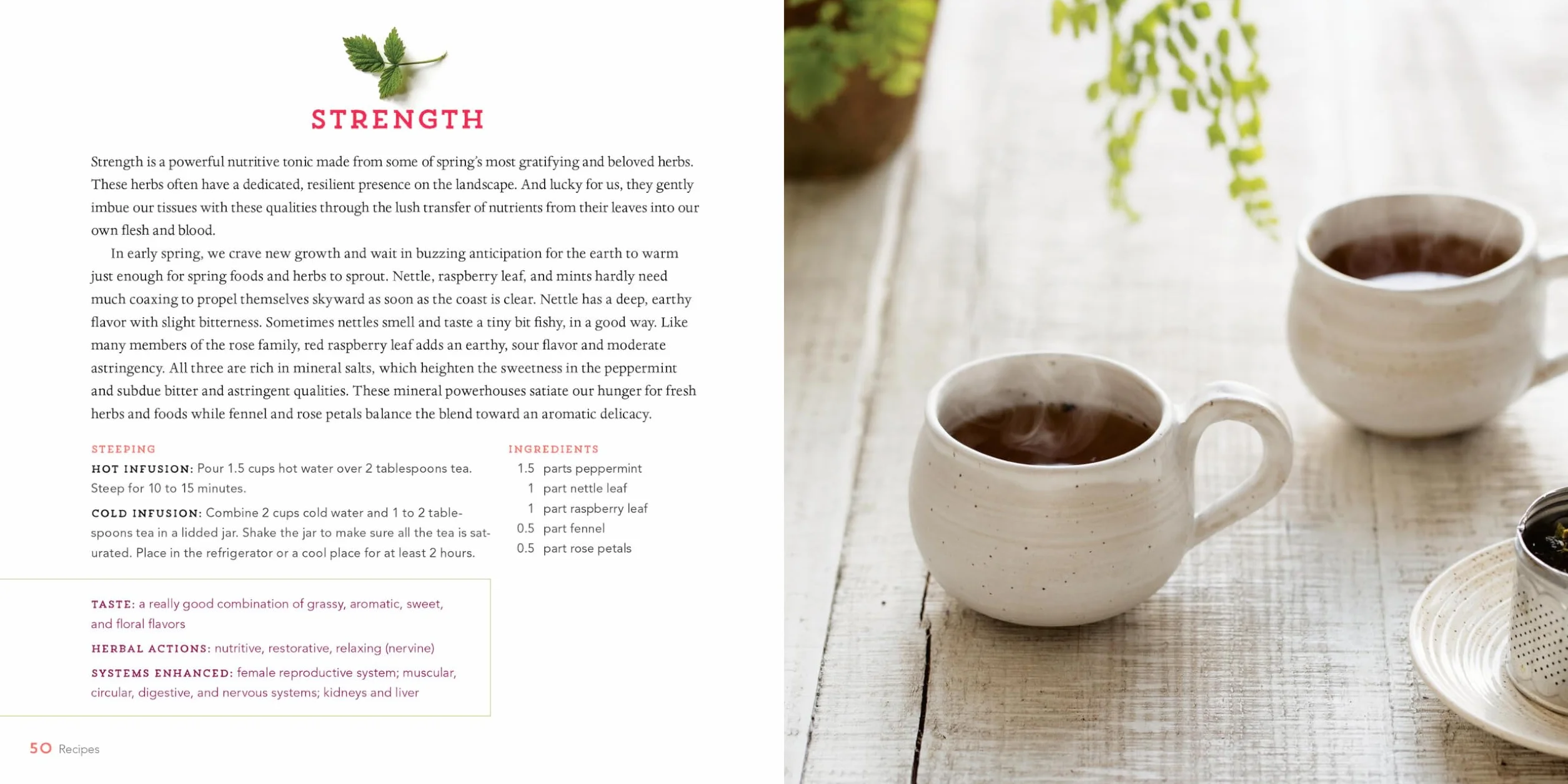 Healing Herbal Teas: Learn to Blend 101 Specially Formulated Teas for Stress Management, Common Ailments, Seasonal Health, and Immune Support