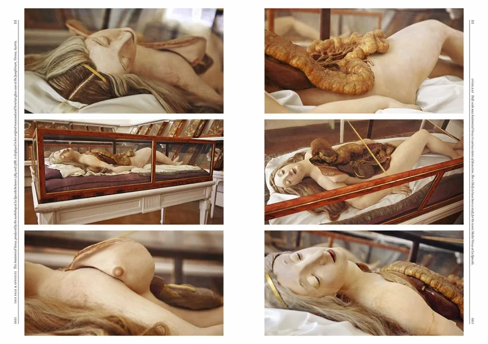 The Anatomical Venus /anglais: Wax / Sex / God / Death
