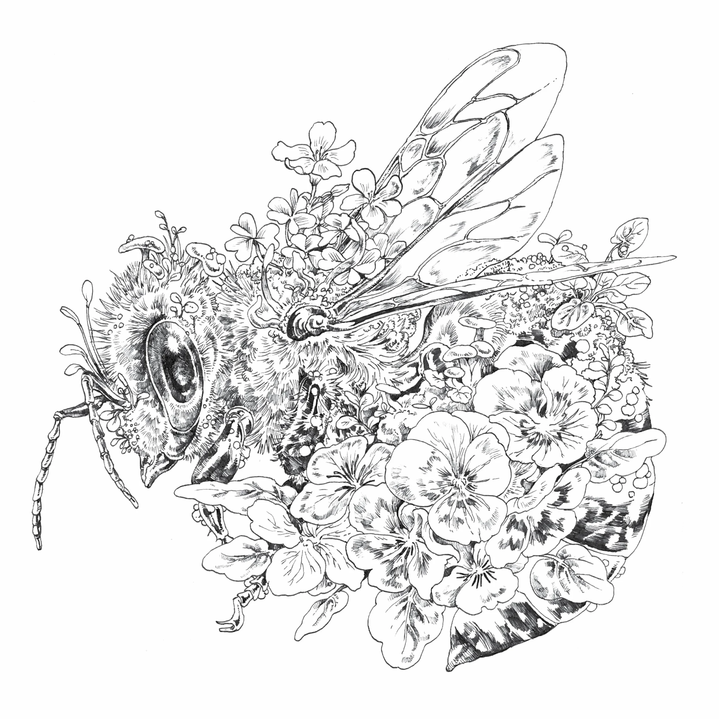 Ecotopia: Color a World of Wonder