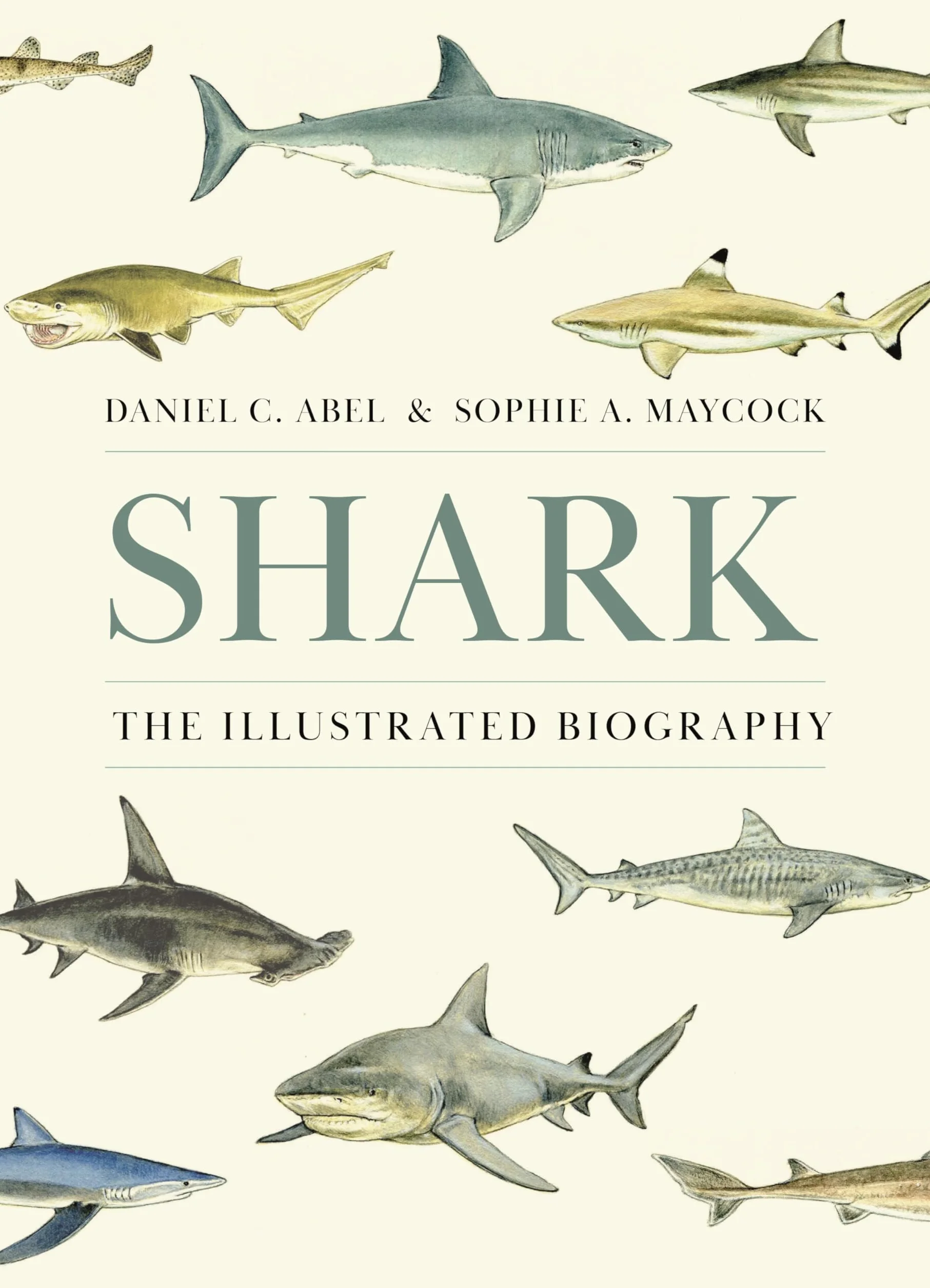 Shark: The Illustrated Biography