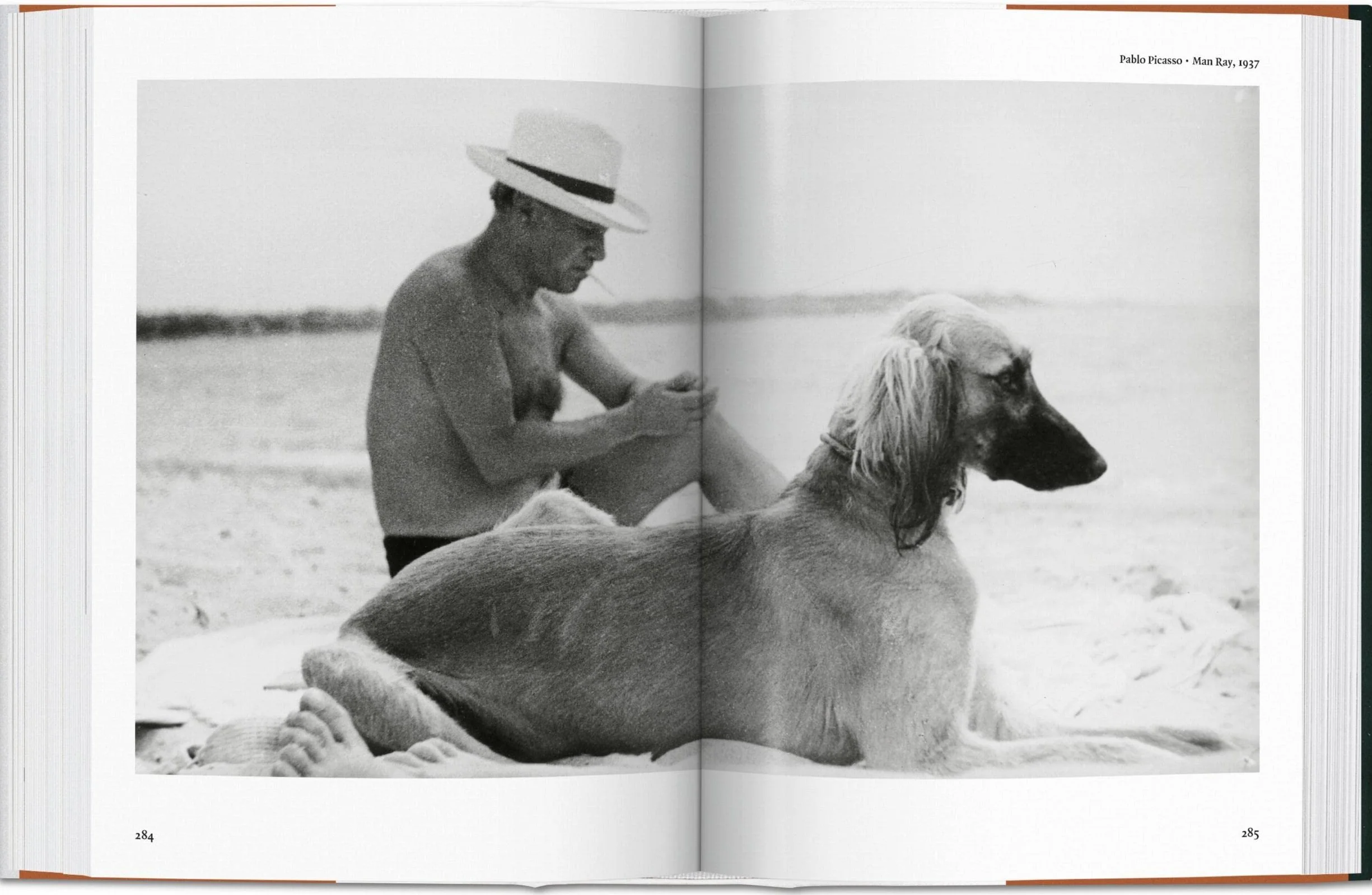 The Dog in Photography: 1839-Today