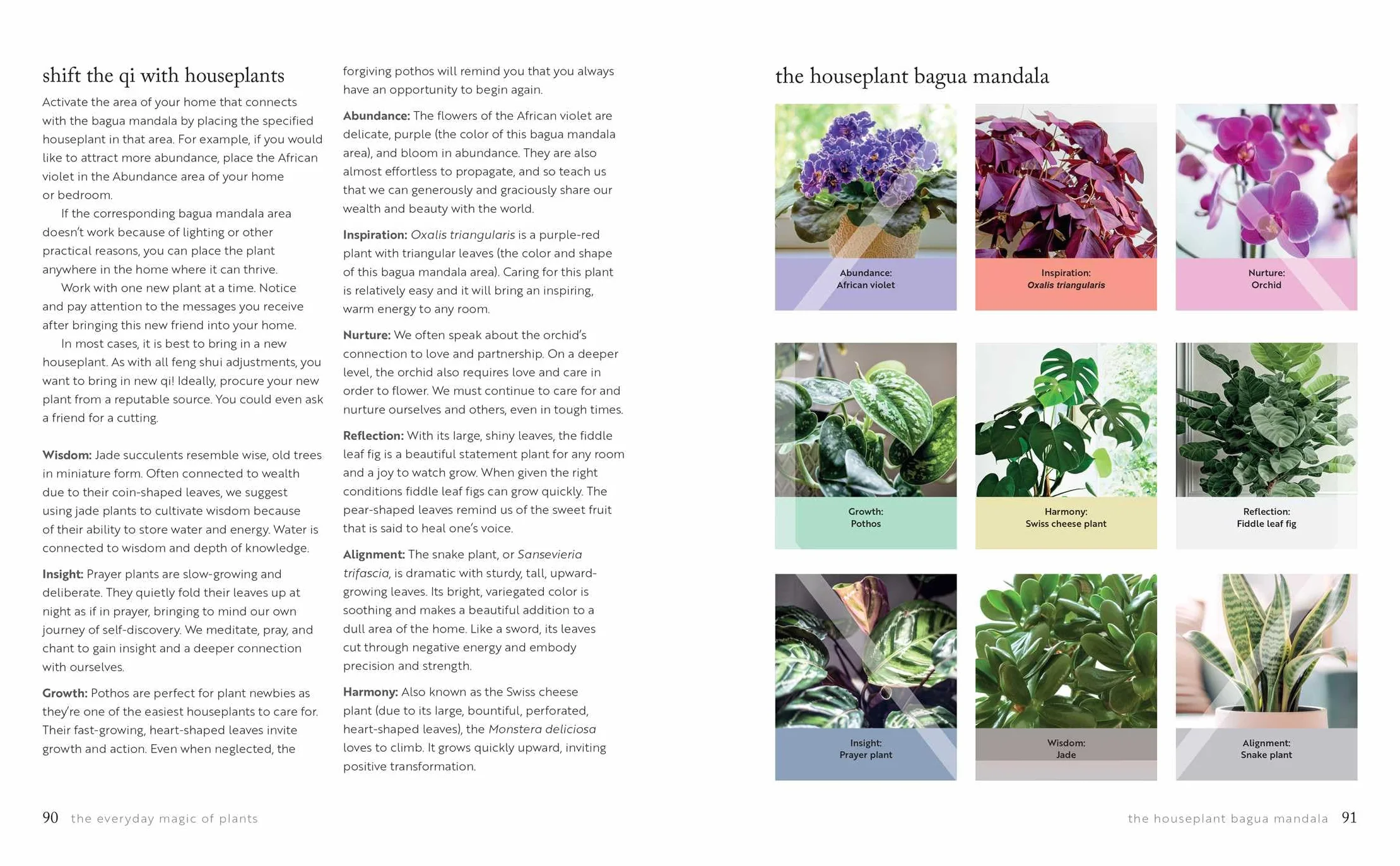Mindful Living: A Guide to the Everyday Magic of Feng Shui