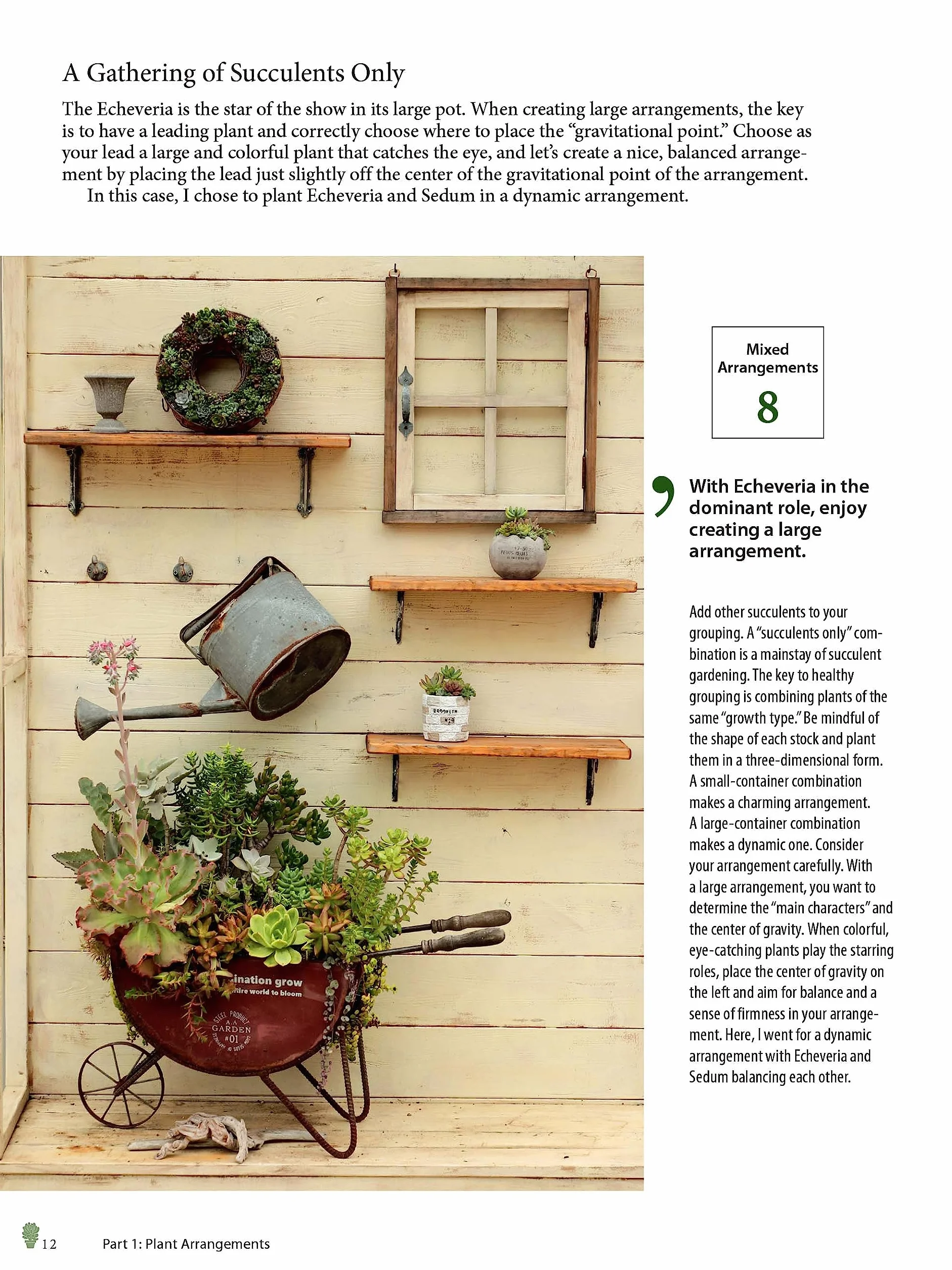 Growing Succulents: A Pictorial Guide (Over 1,500 Photos and 700 Plants)
