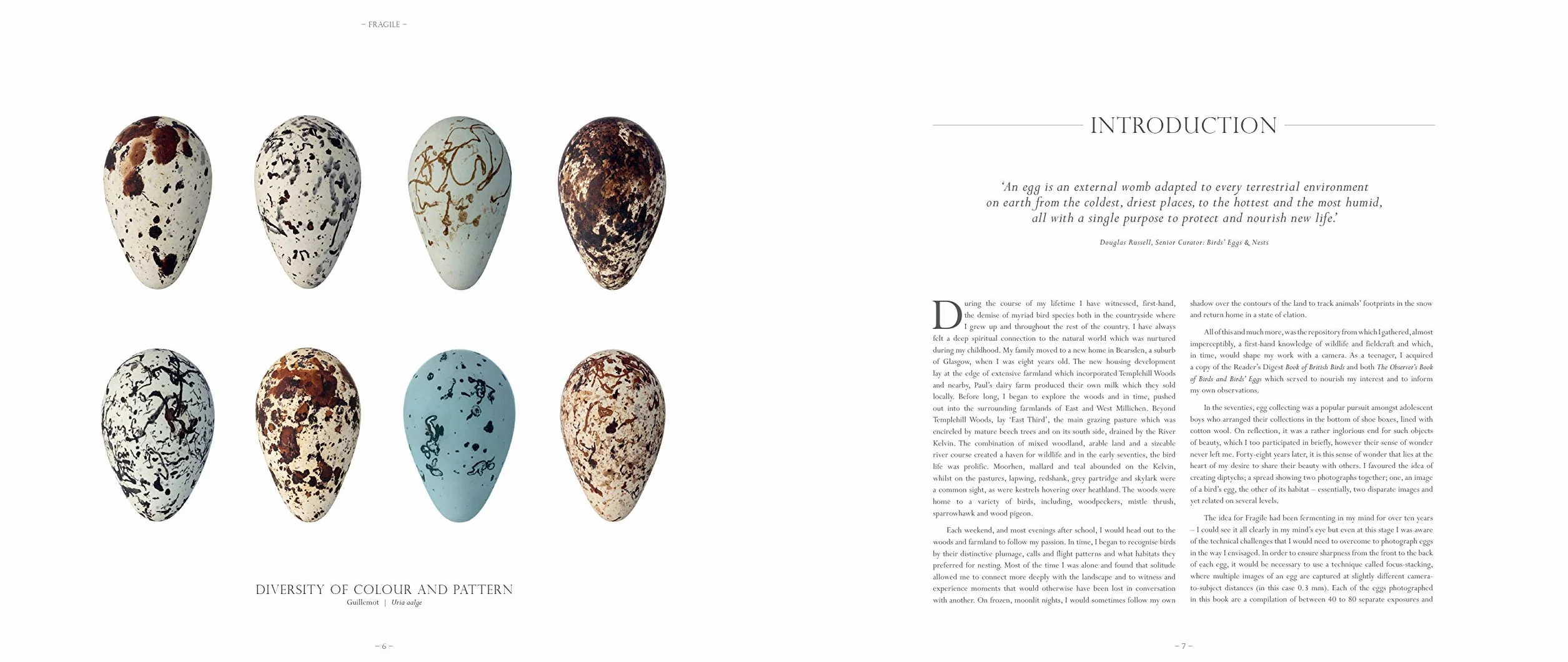 Fragile: Birds, Eggs and Habitats