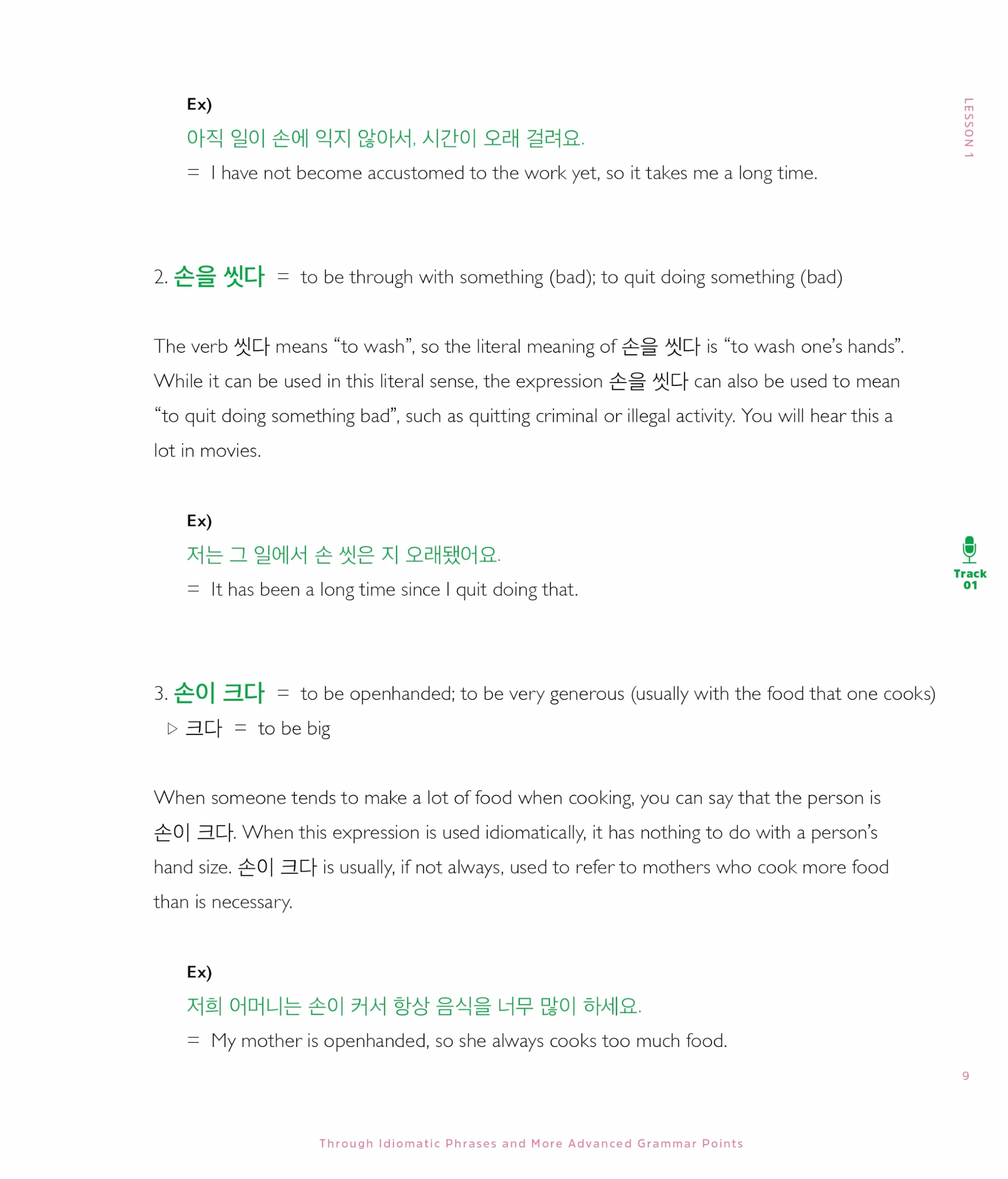 Talk To Me In Korean Level 9