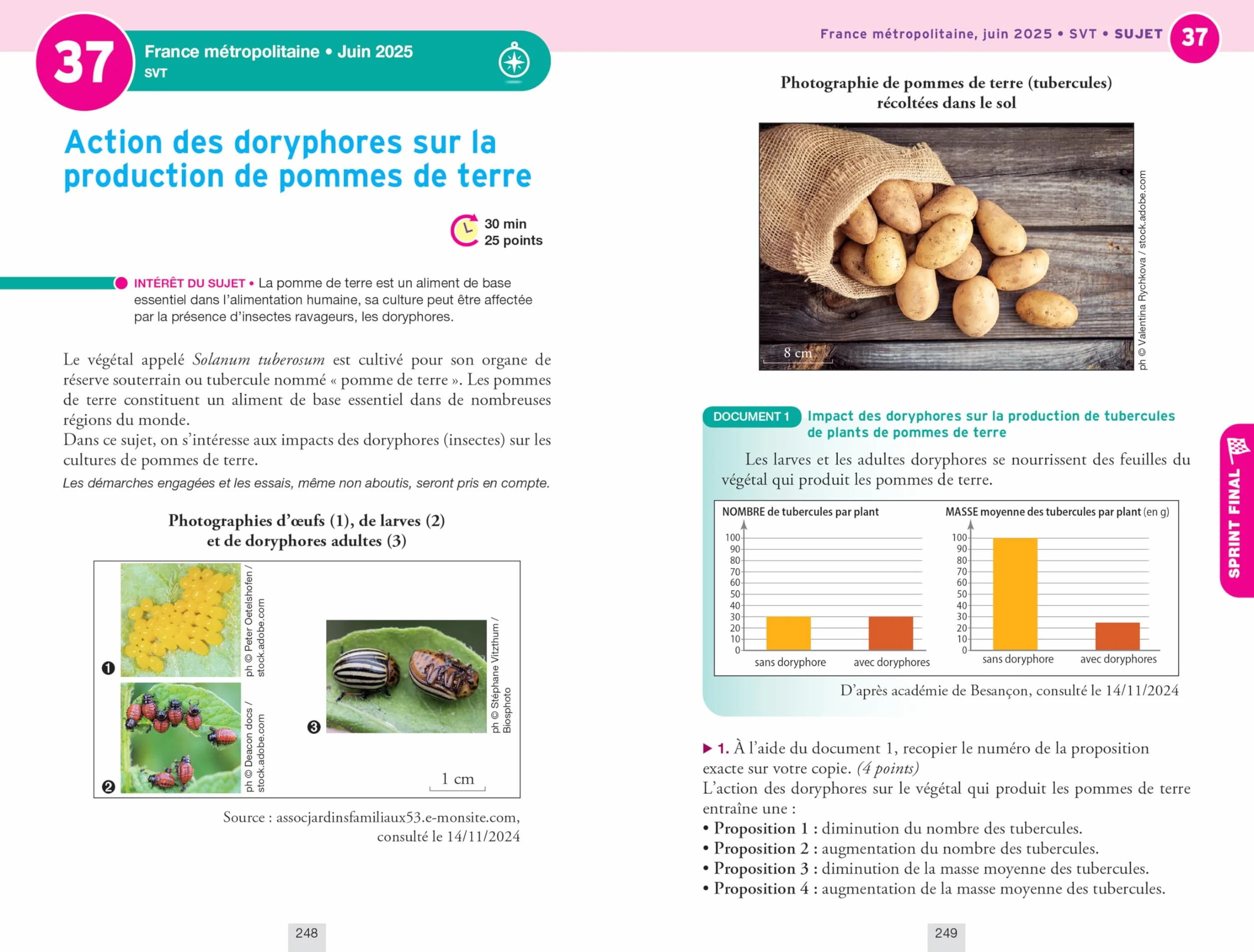 Annales du brevet 2026 - Annabrevet Sciences (Physique-chimie, SVT, Technologie) 3e - Nouveau brevet: sujets corrigés & méthodes pour réussir son brevet