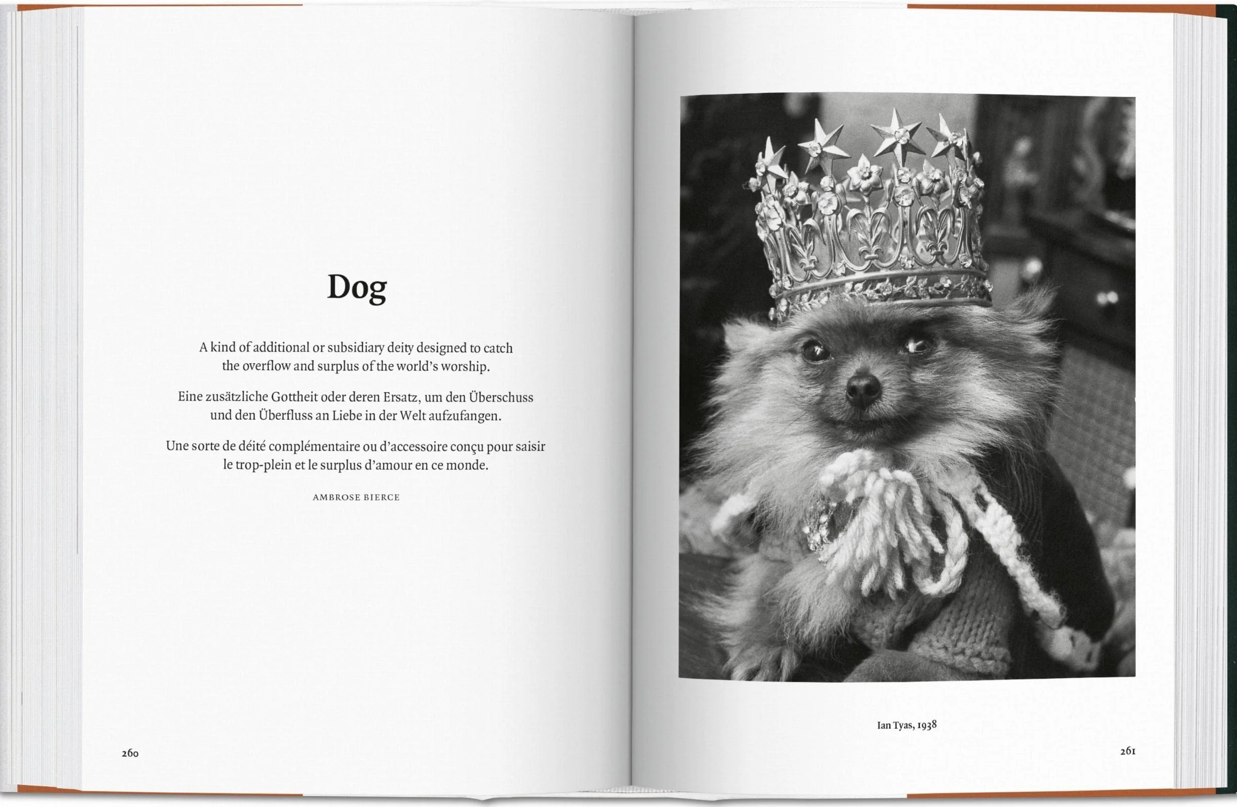 The Dog in Photography: 1839-Today