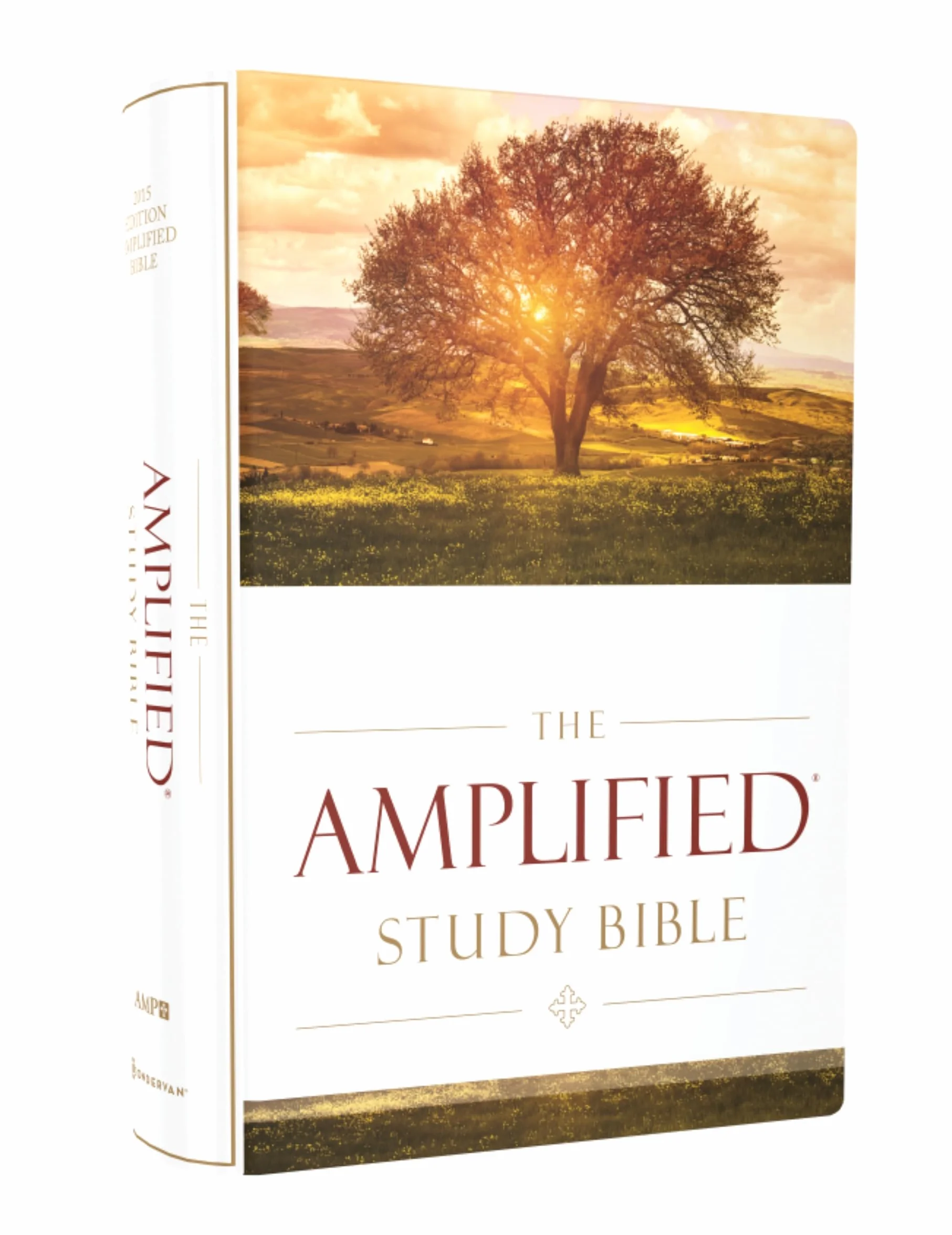 Amplified Study Bible, Hardcover
