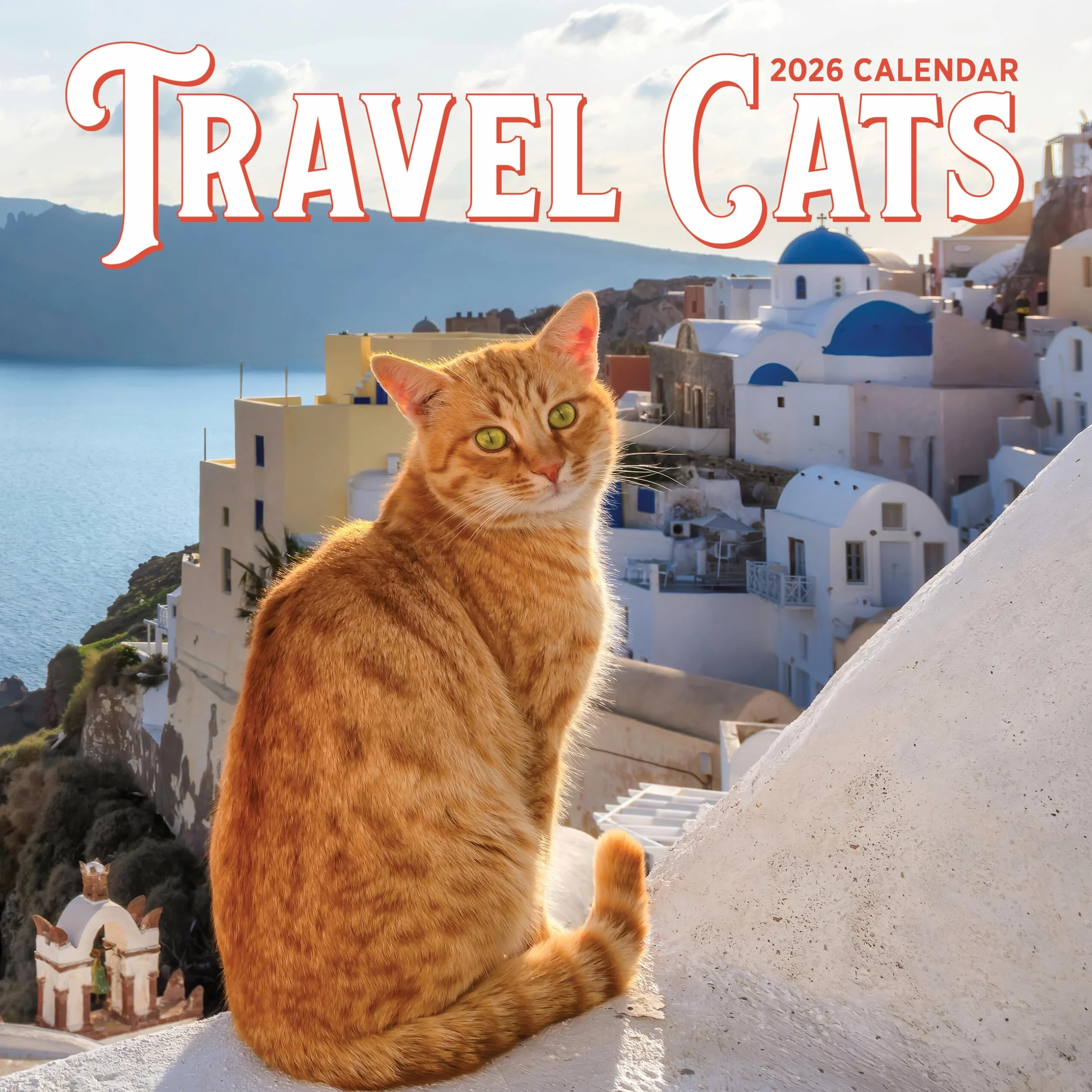 Travel Cats Wall Calendar 2026