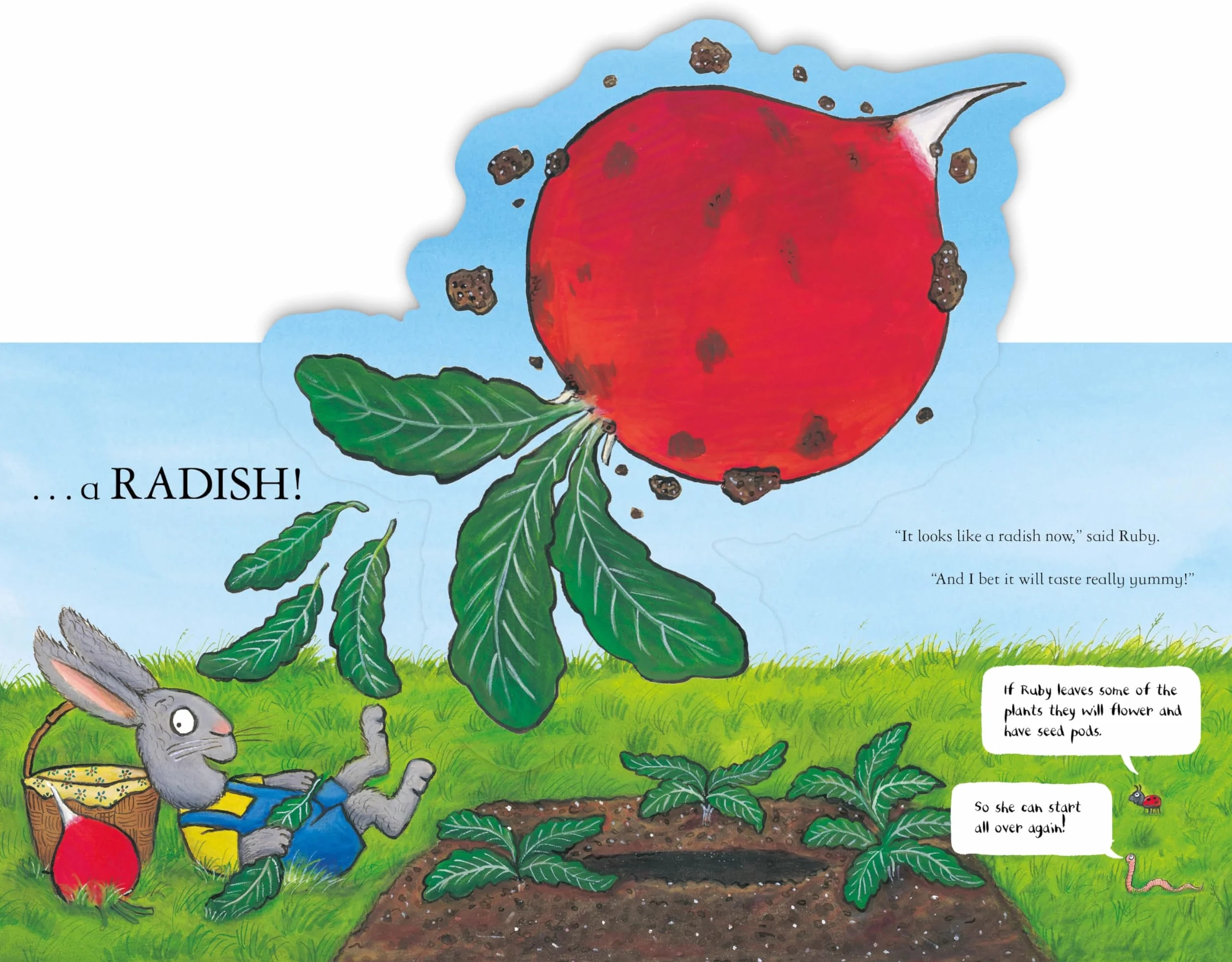 National Trust Ruby Plants a Radish