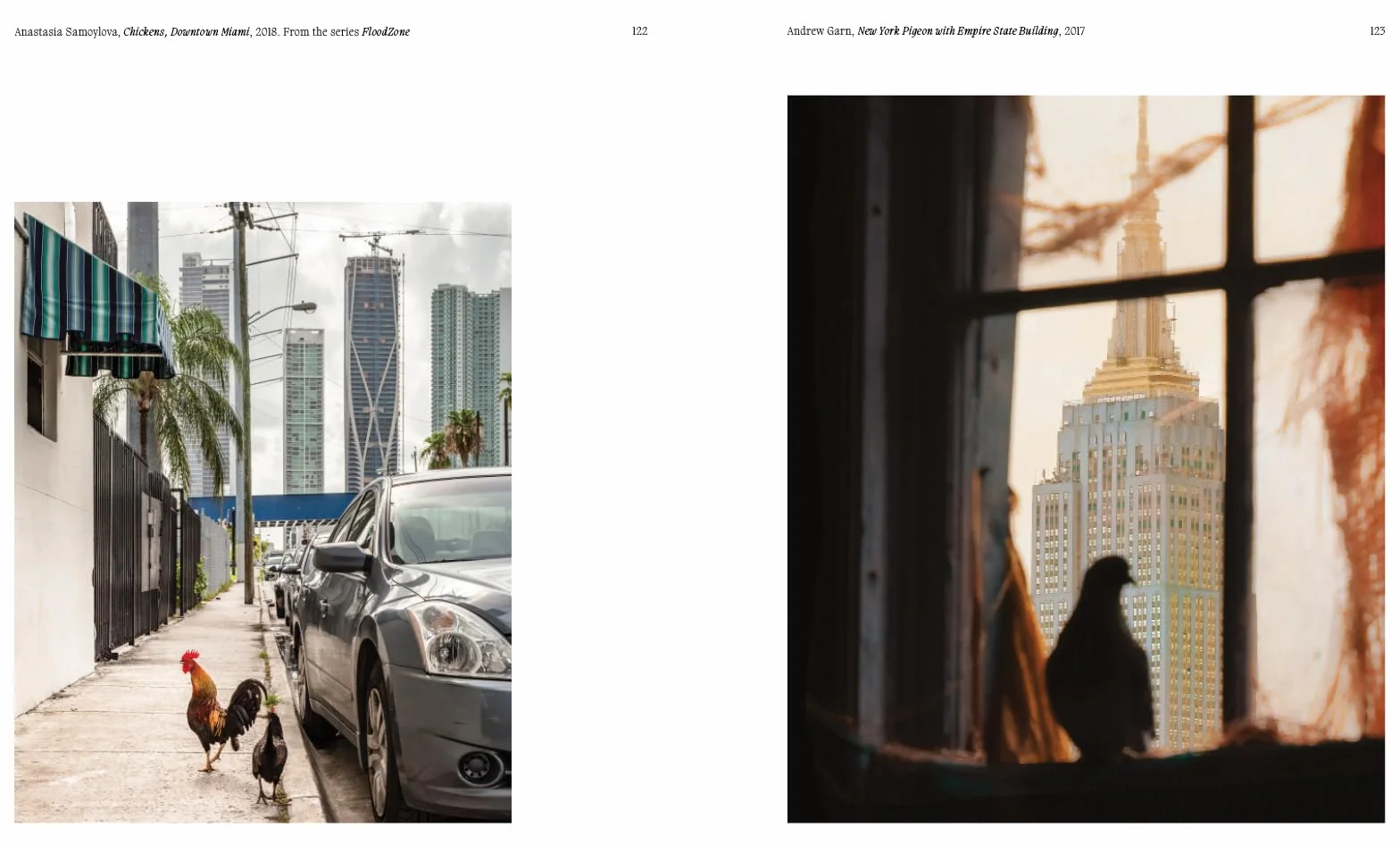 Aviary The Bird in Contemporary Photography /anglais