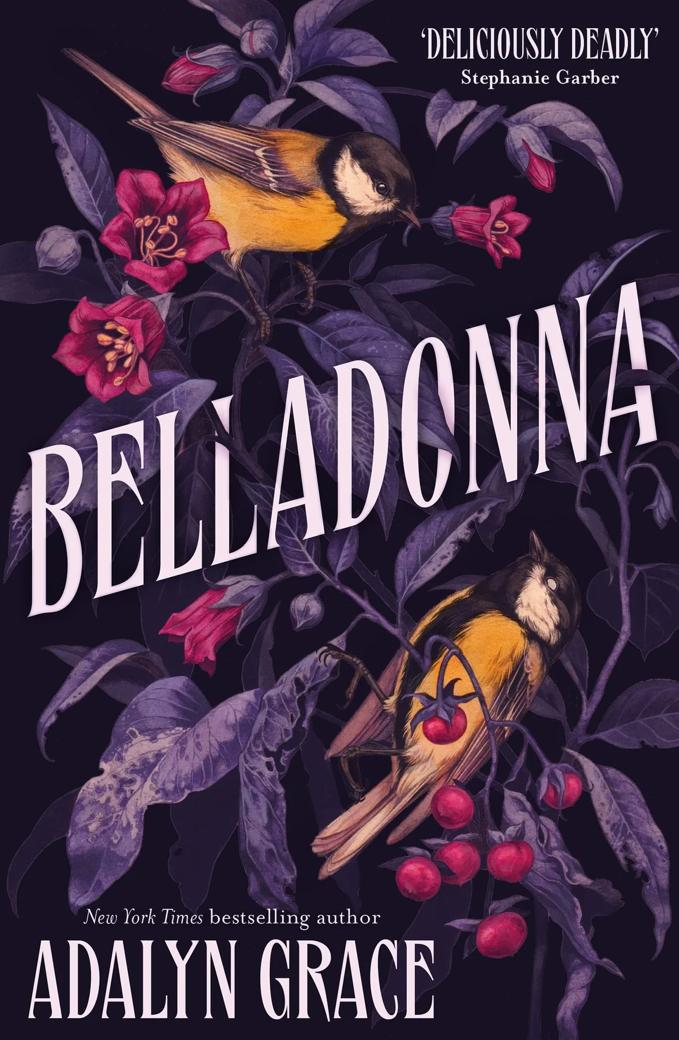 Belladonna: bestselling gothic fantasy romance: 1: The addictive and mysterious gothic fantasy romance not to be missed