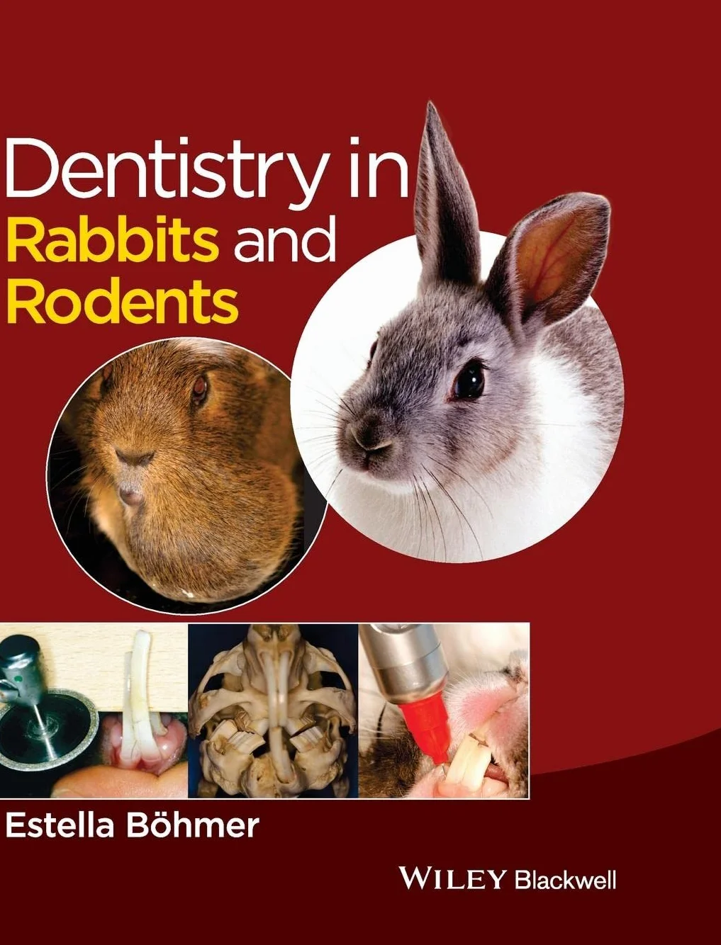 Dentistry in Rabbits and Rodents