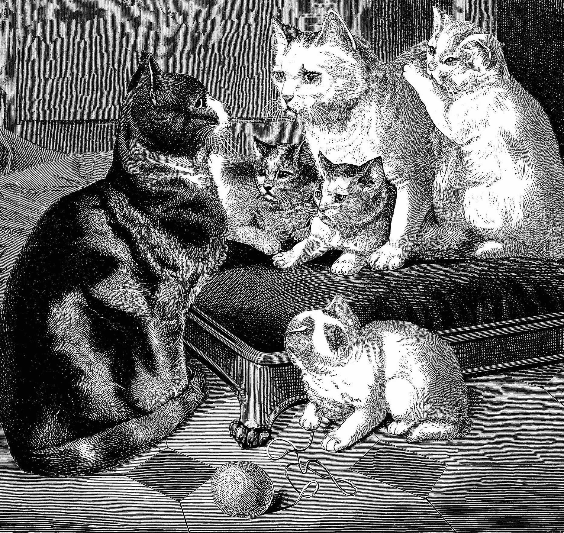Animals:: 1419 Royalty-Free Illustrations of Mammals, Birds, Fish, Insects, Etc.