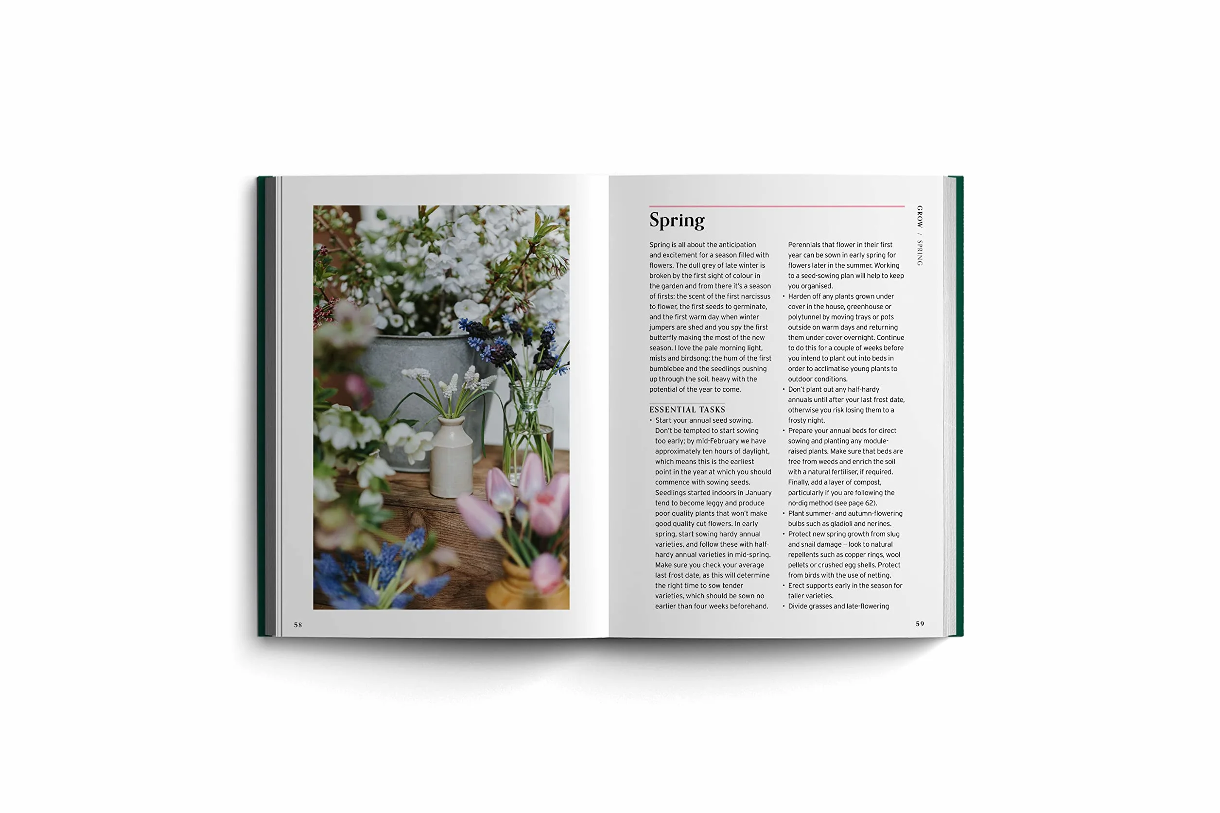 Cut Flowers (Bloom's Gardener Guide) /anglais: Bloom Gardener's Guide: Prepare the Ground, Sow Seed, Nurture, Harvest, Fill Your Vases: 3