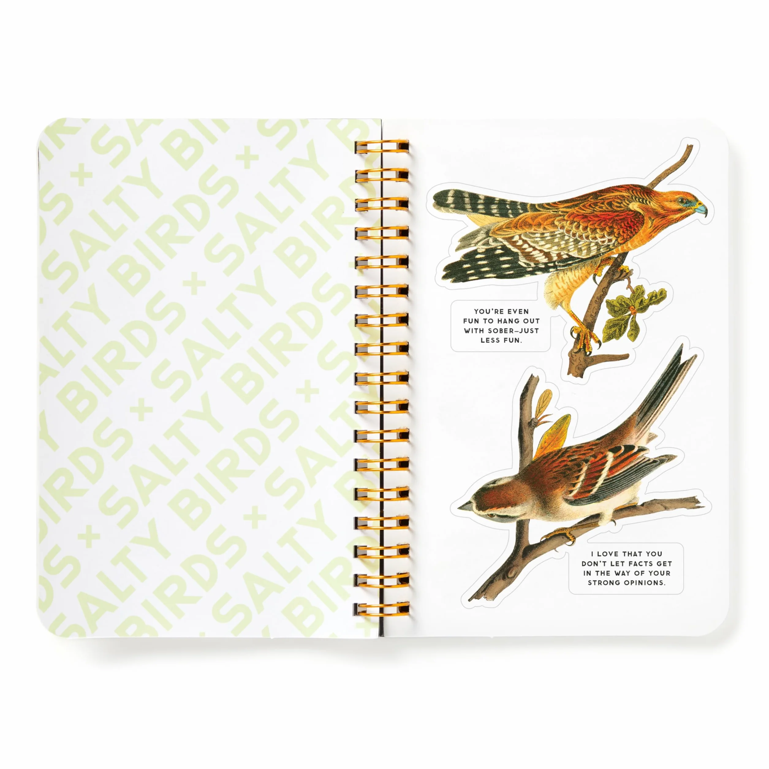 Salty Birds Sticker Book